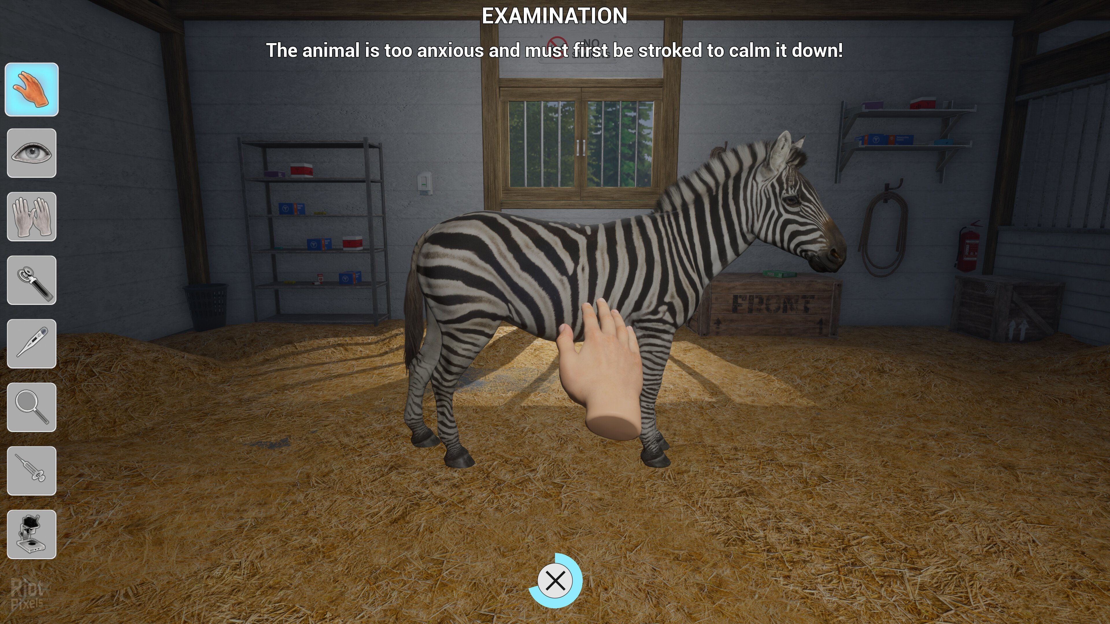 [12]-My Life: Zoo Vet – v1.2.0 Download