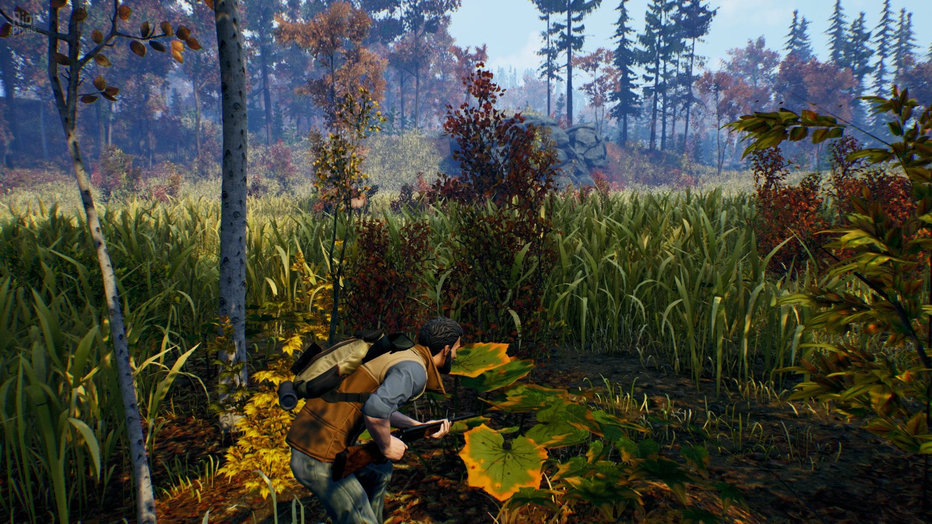 [5]-Open Country – v1.0.0.2636 Download