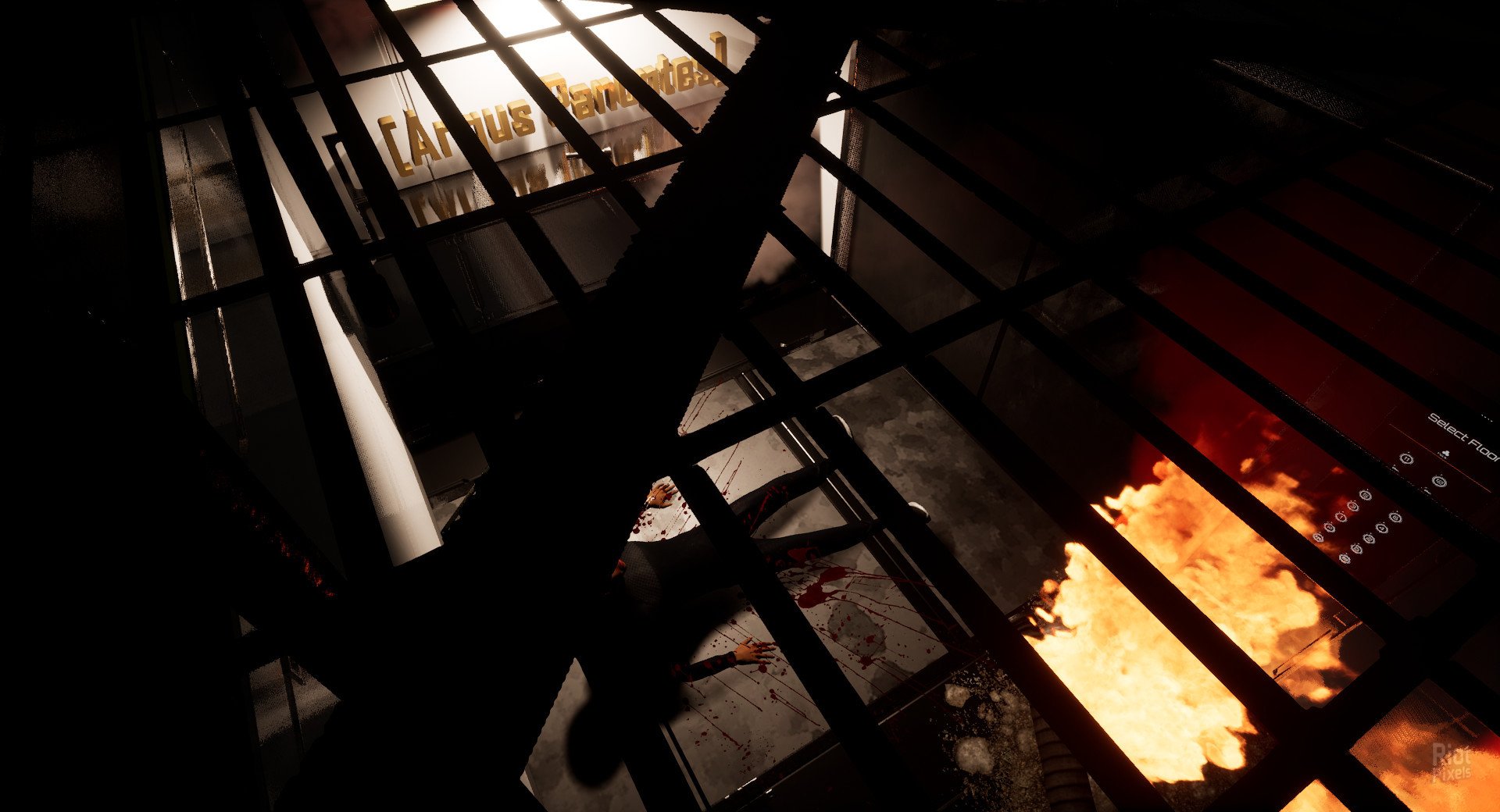 [8]-Thalamus Download