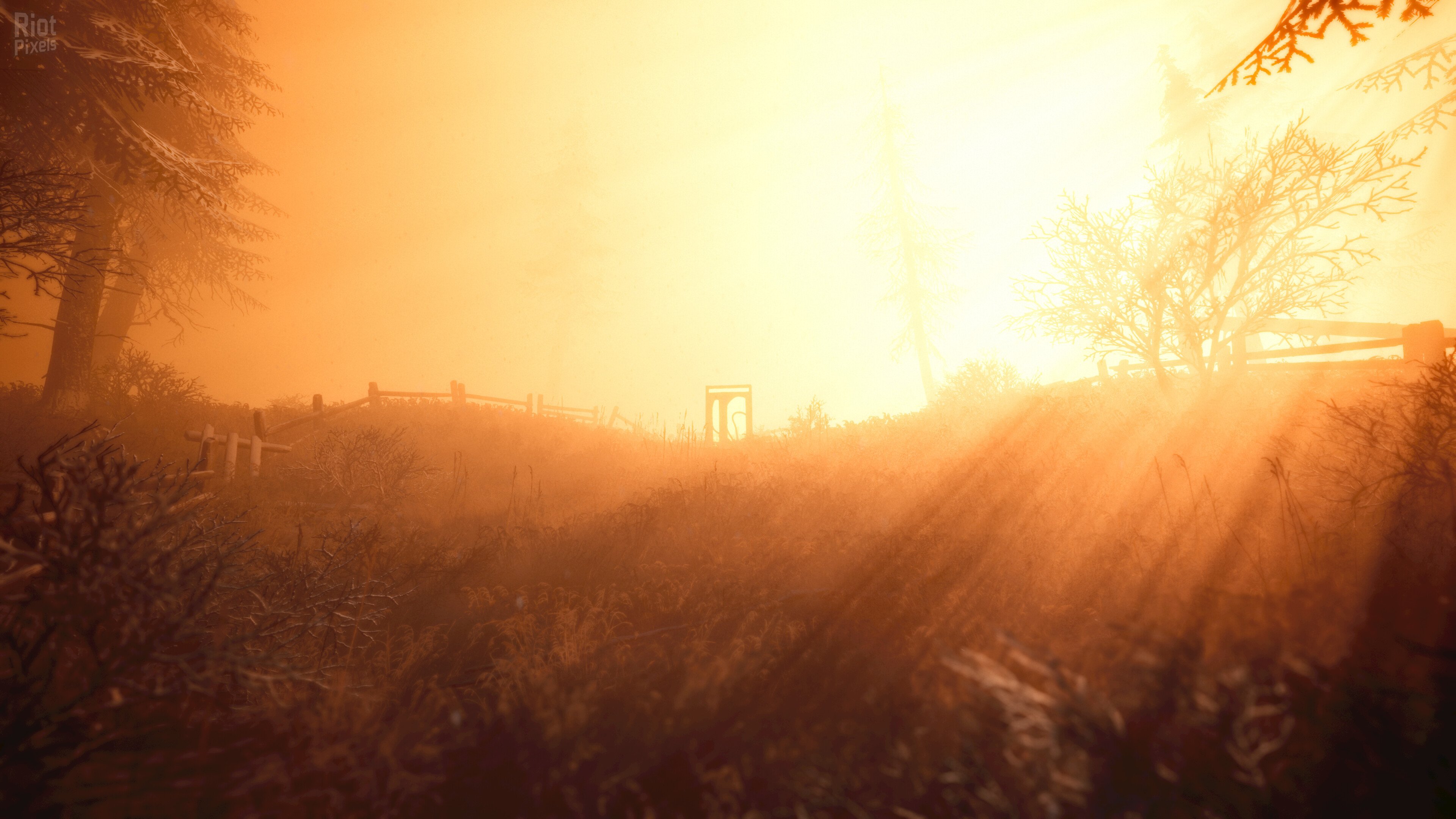 [12]-Back Then Download