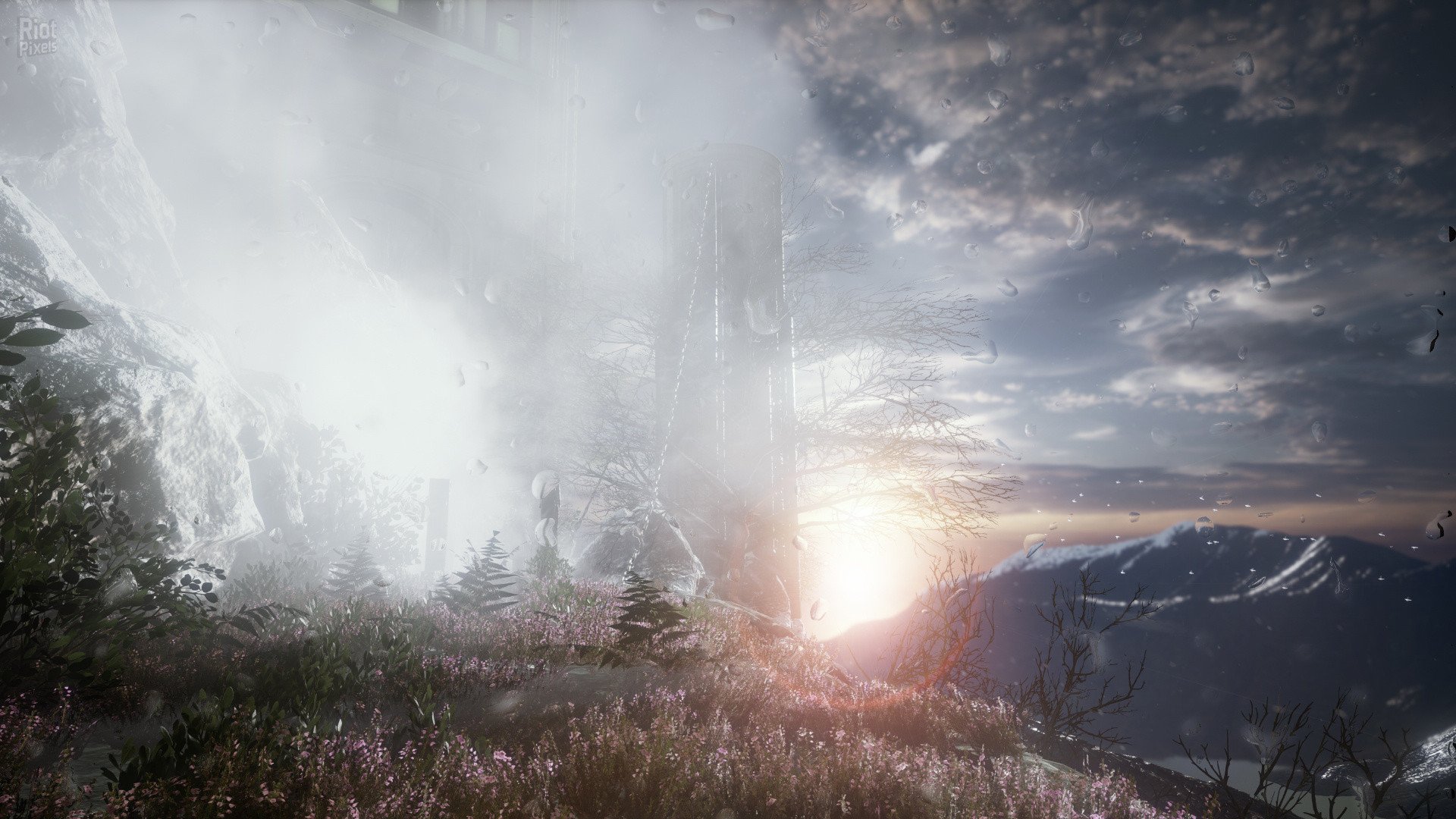 [15]-The Butterfly Sign – v1.1.2/Update 5 Download