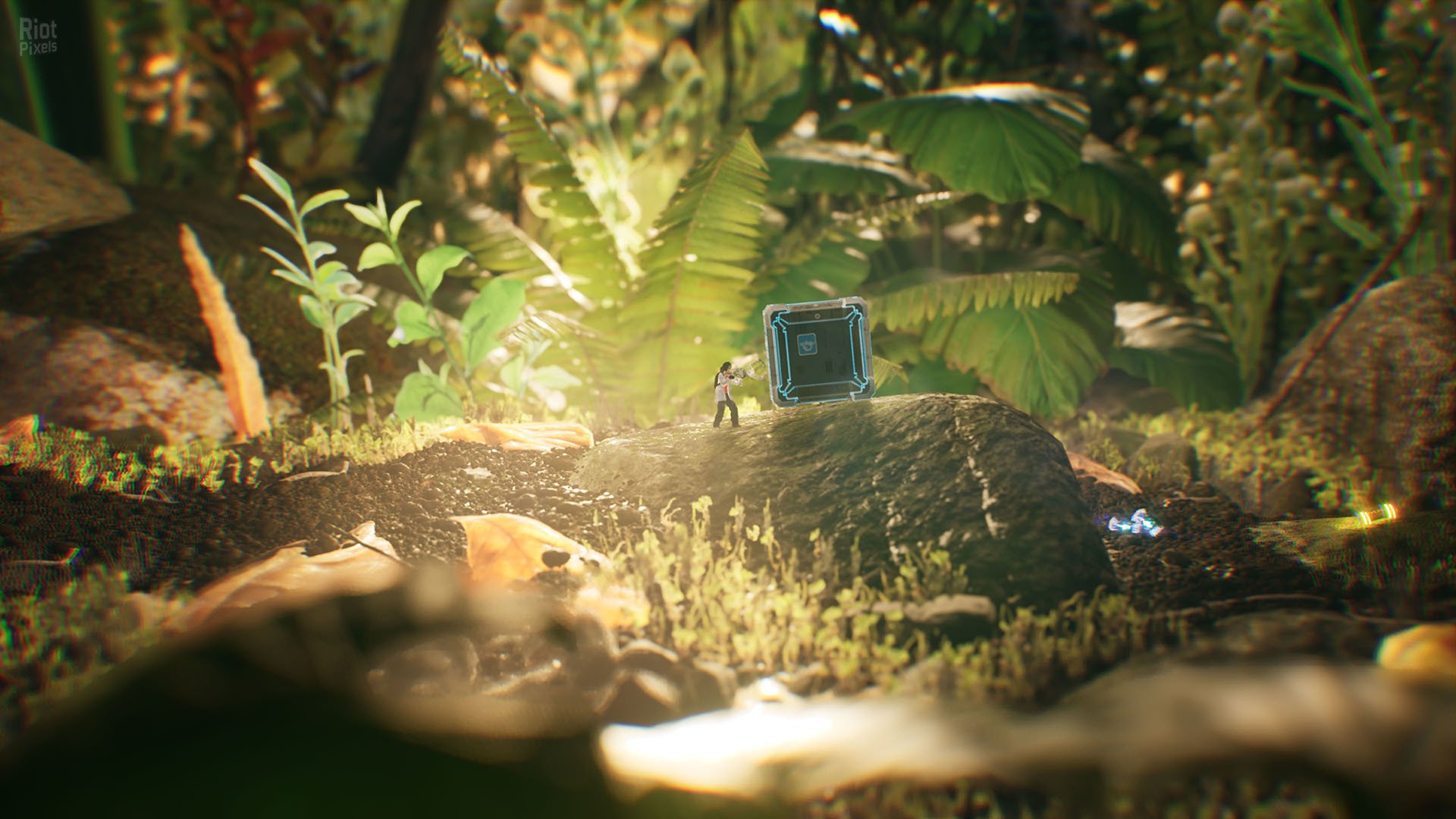 [15]-Big Earth Download