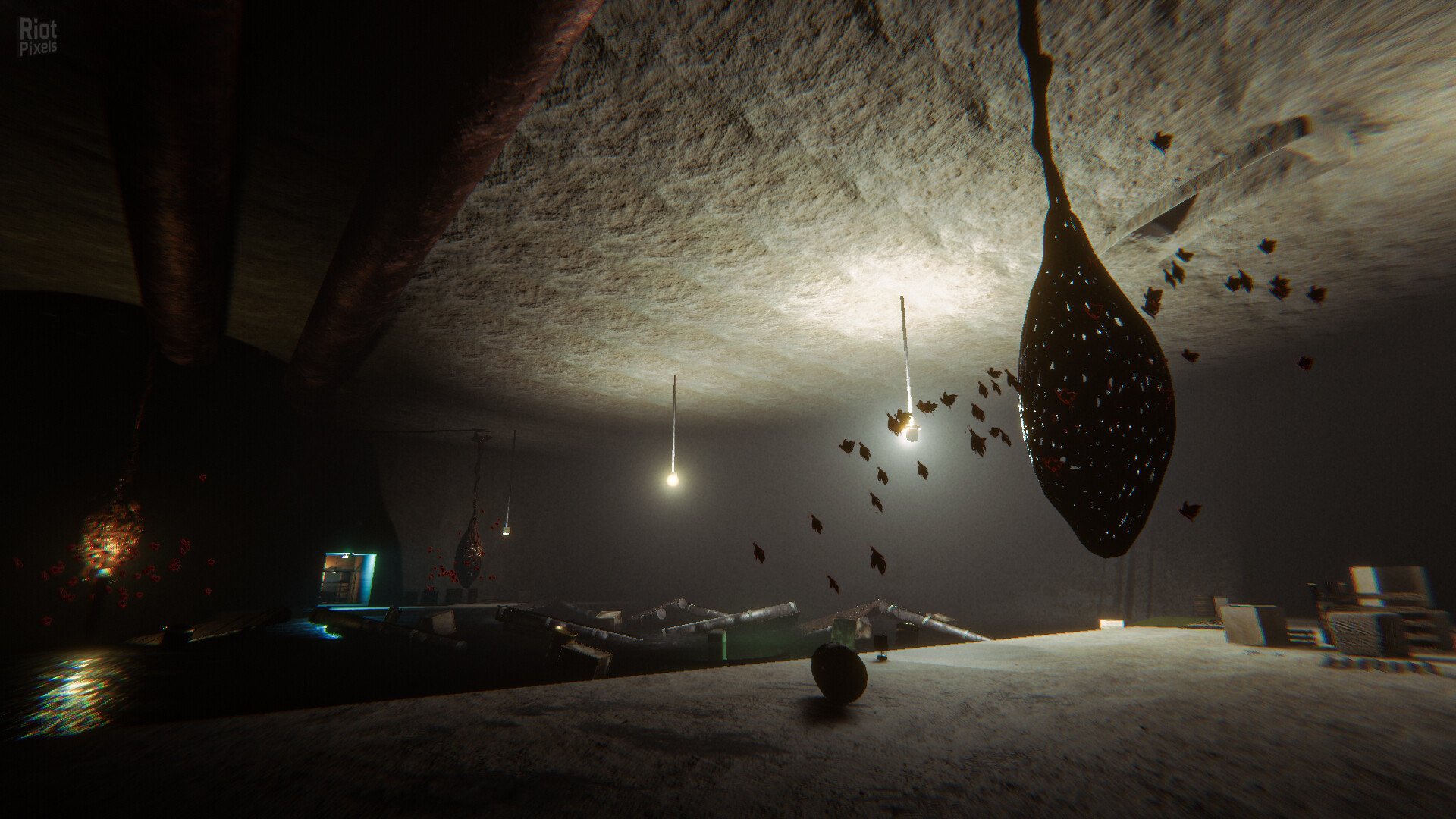 [9]-The Proponent Download