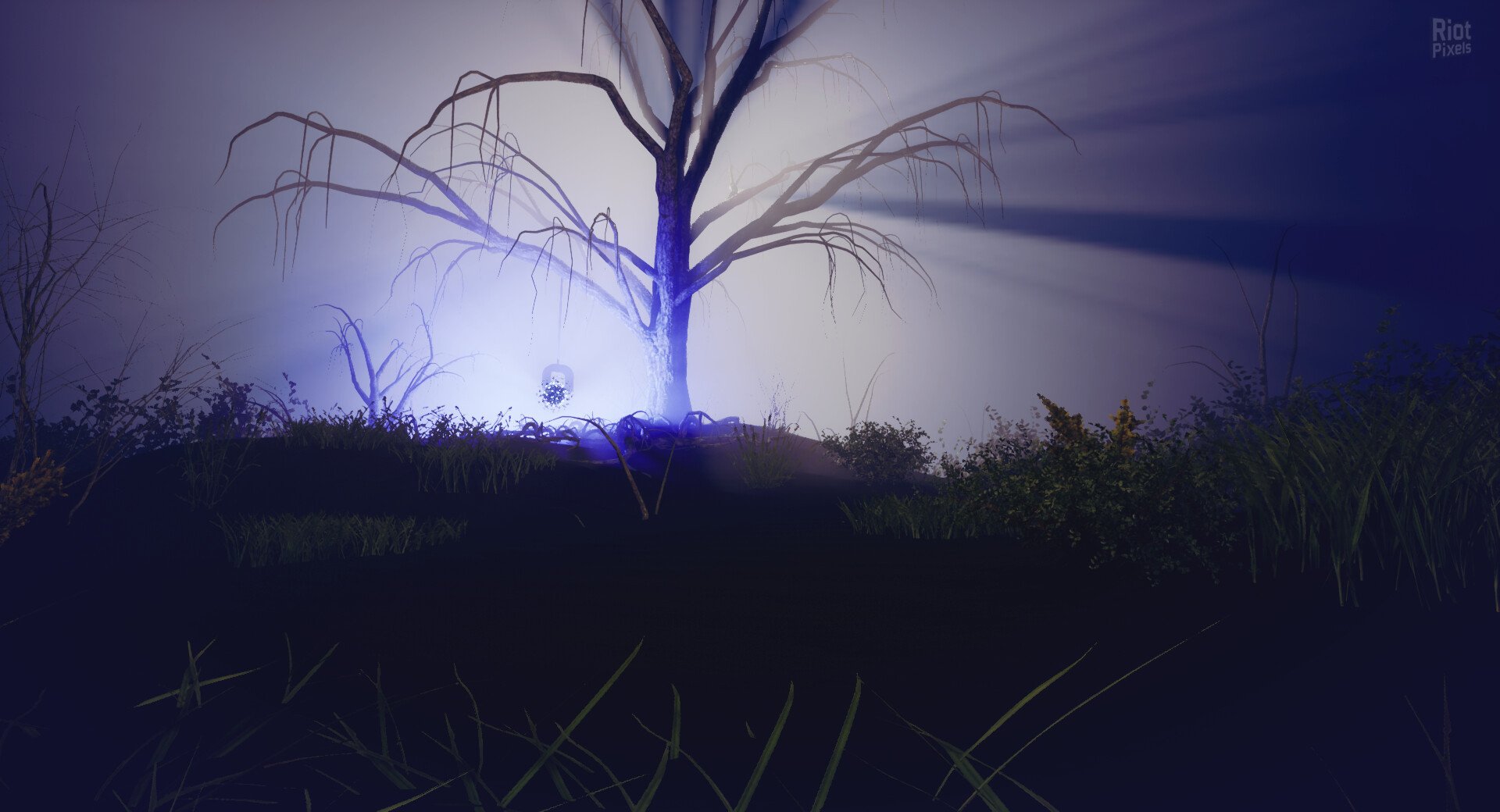 [7]-The Unknown Download