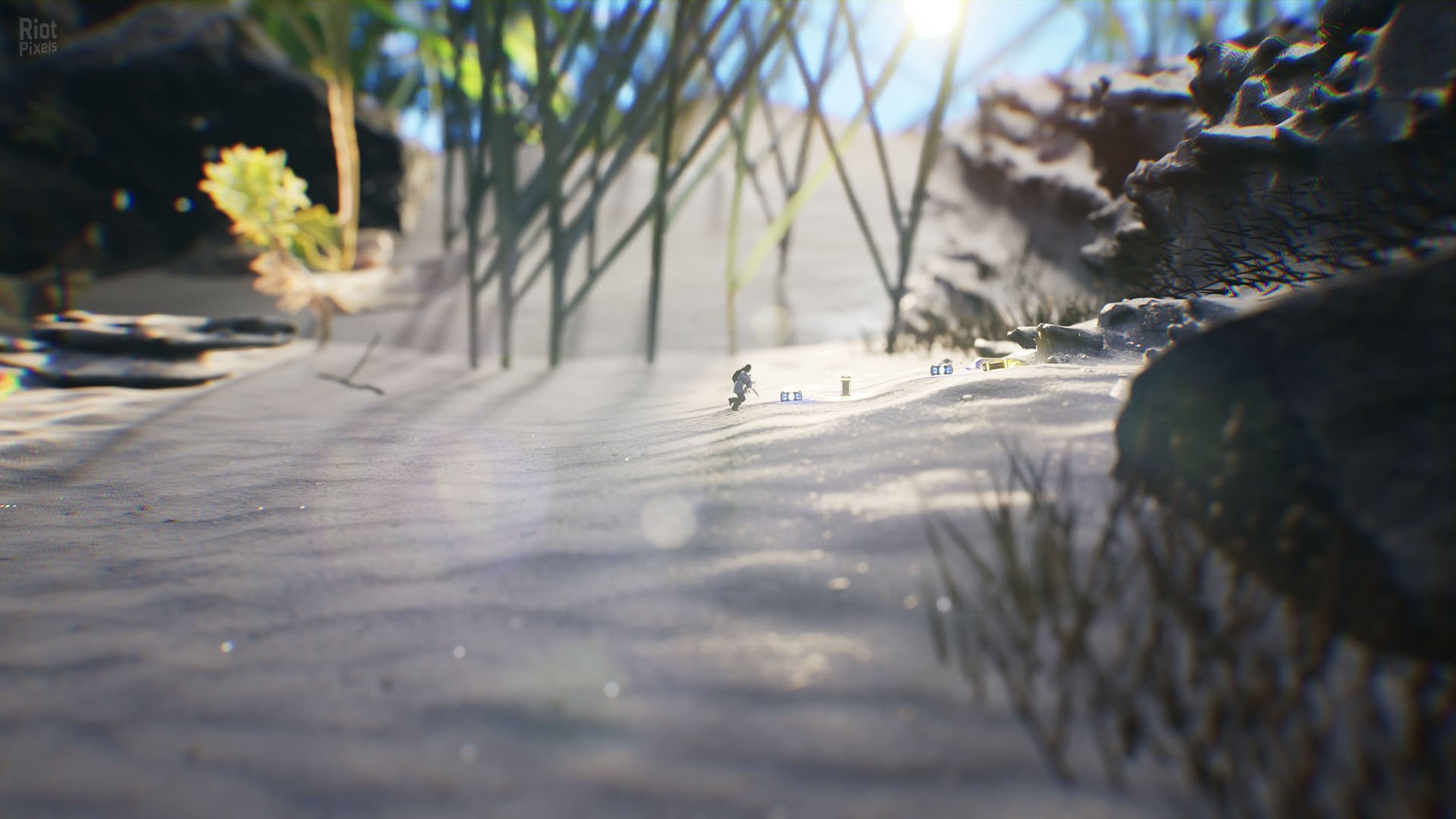 [12]-Big Earth Download