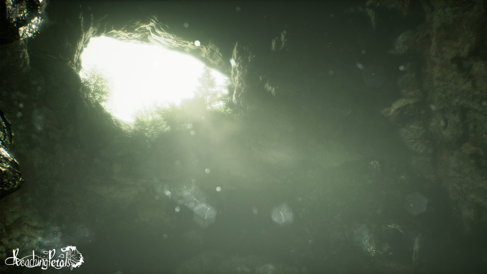 [6]-Reaching for Petals Download