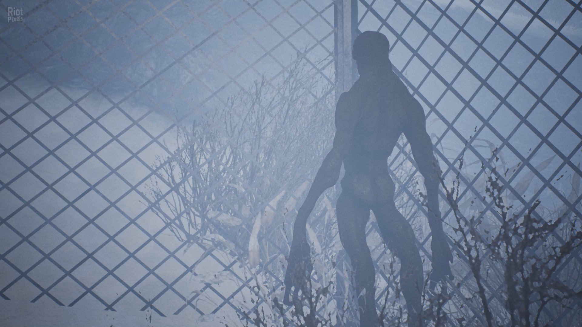 [4]-Raw Footage Download