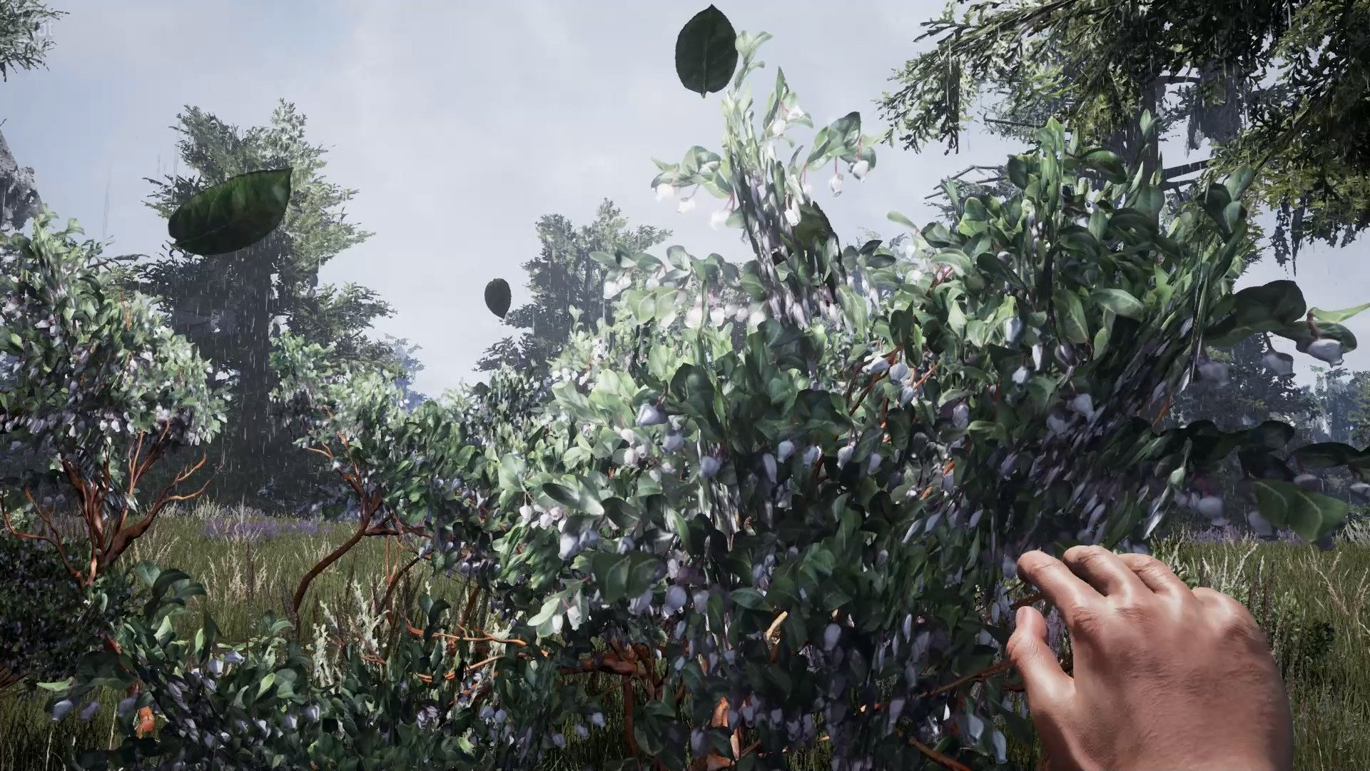 [11]-Fragmented Download