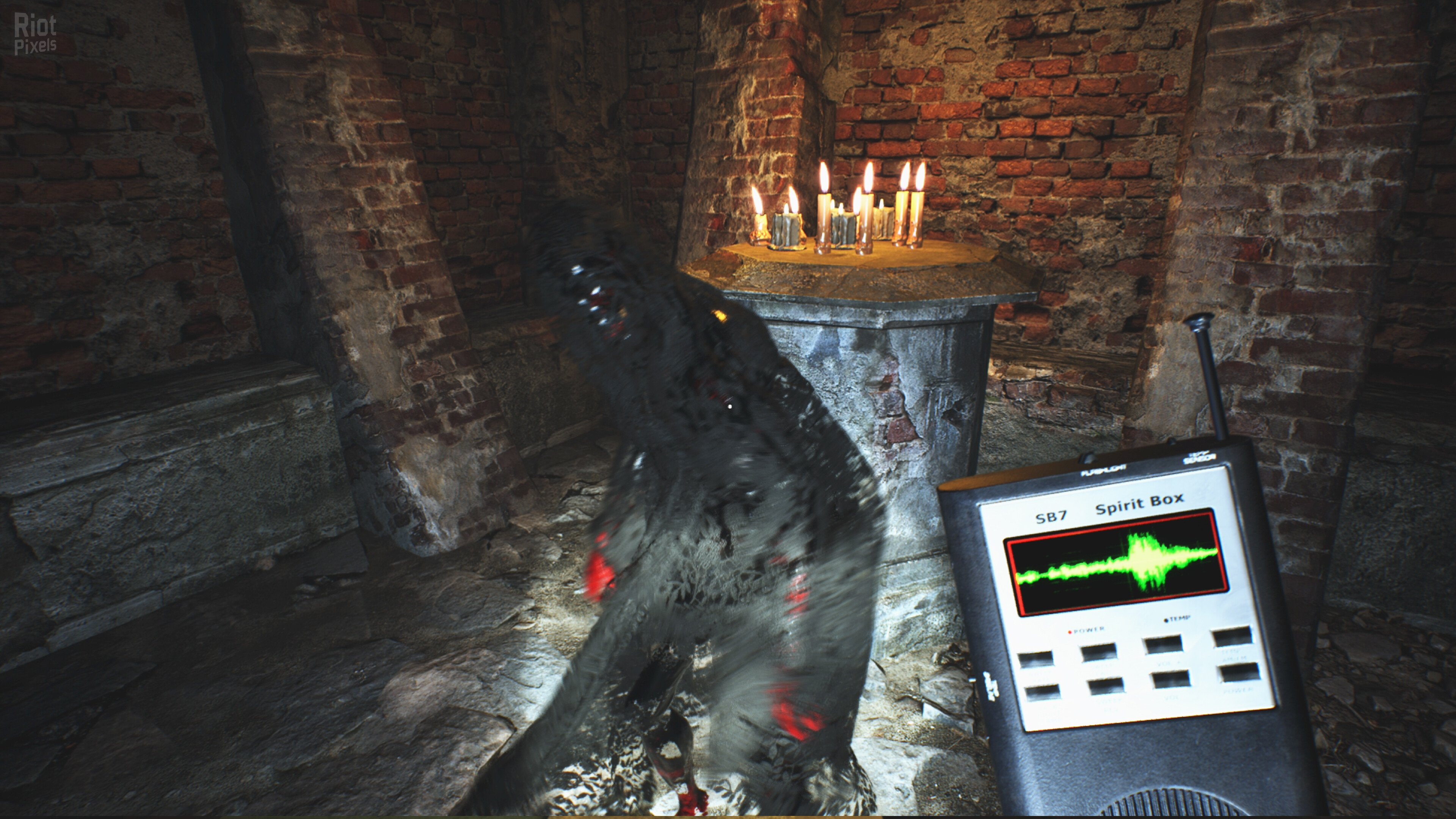 [9]-Cursed Feed Download