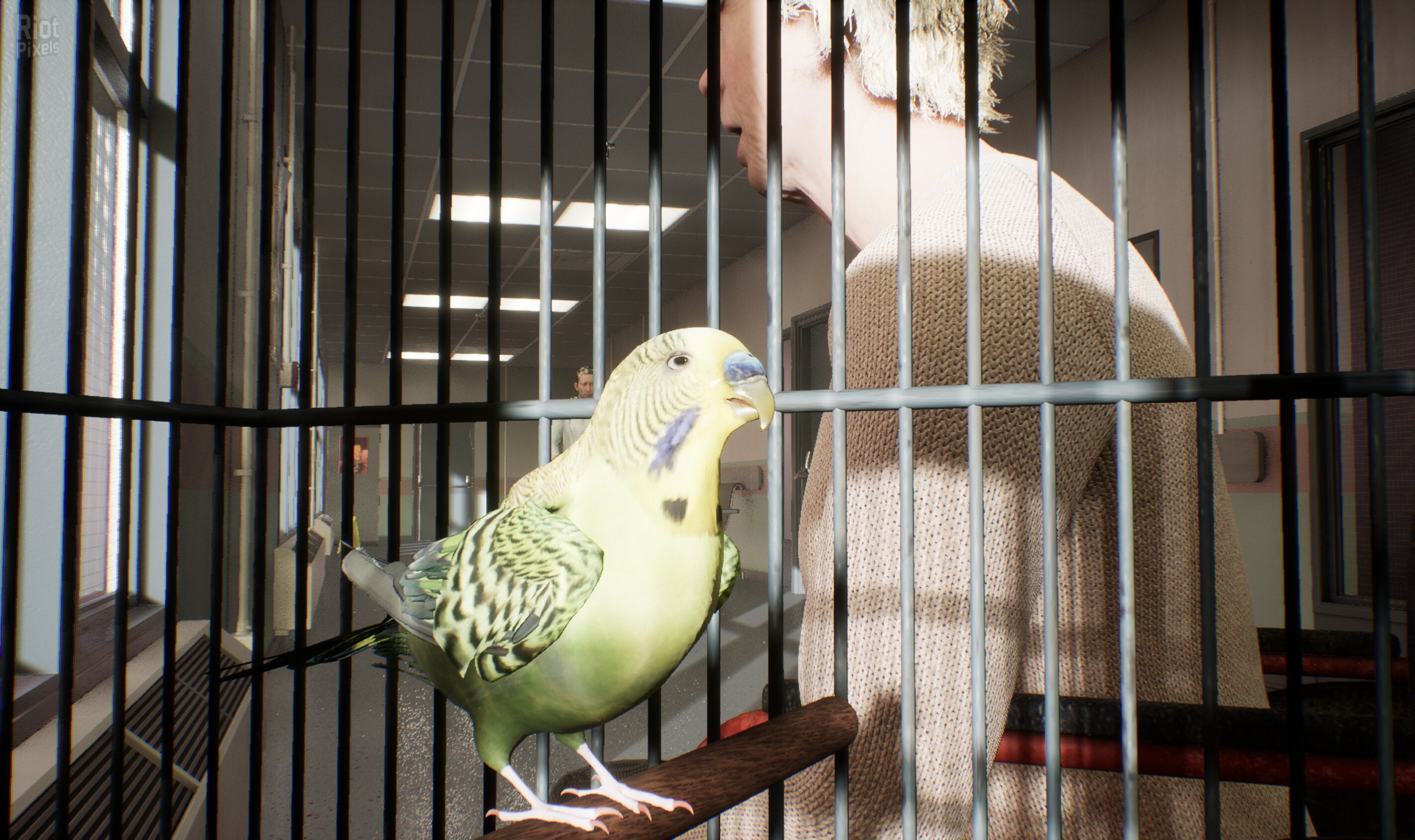 [6]-PROJECT 13 Download