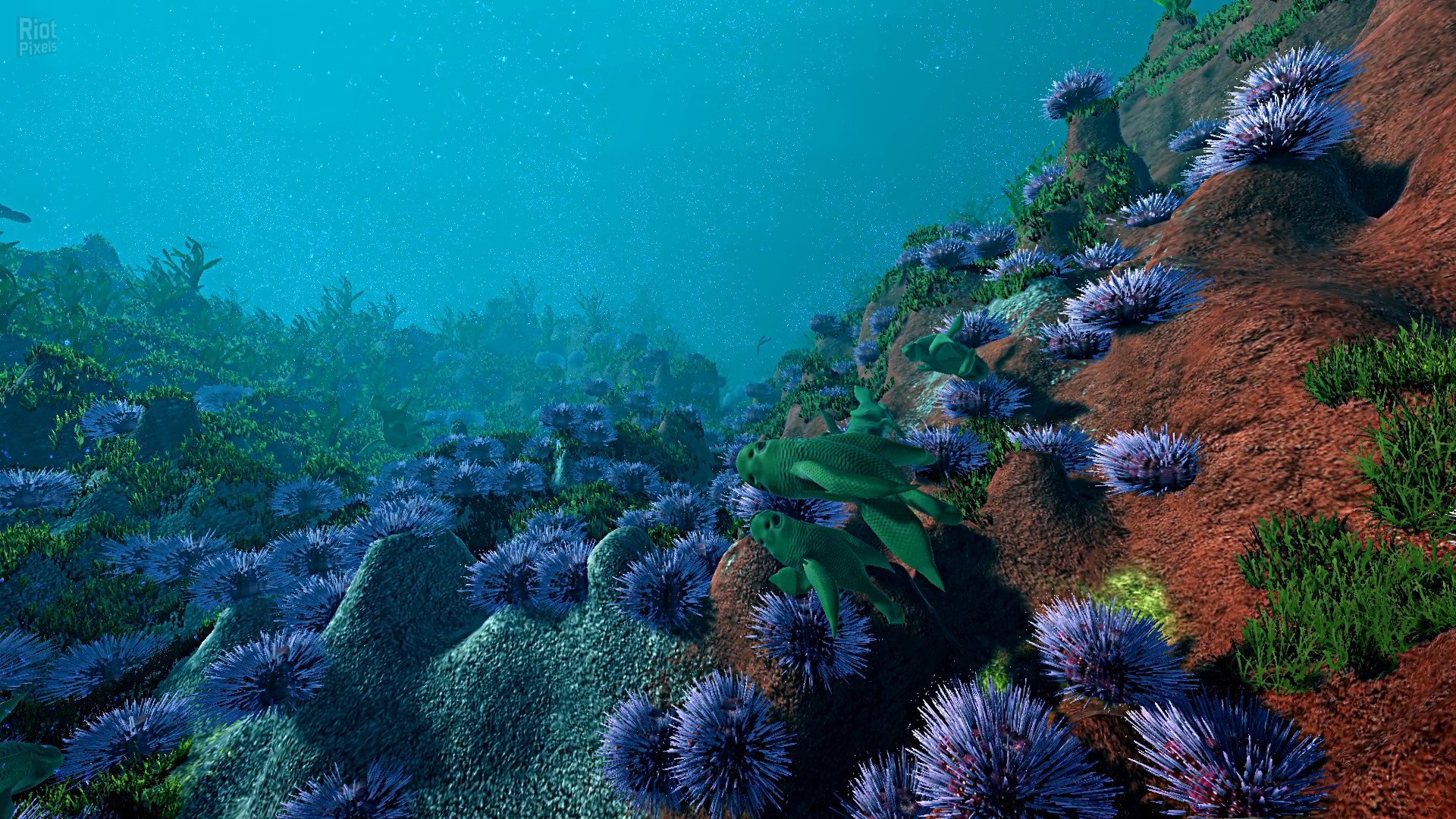 [13]-Ecosystem – v1.01 Download