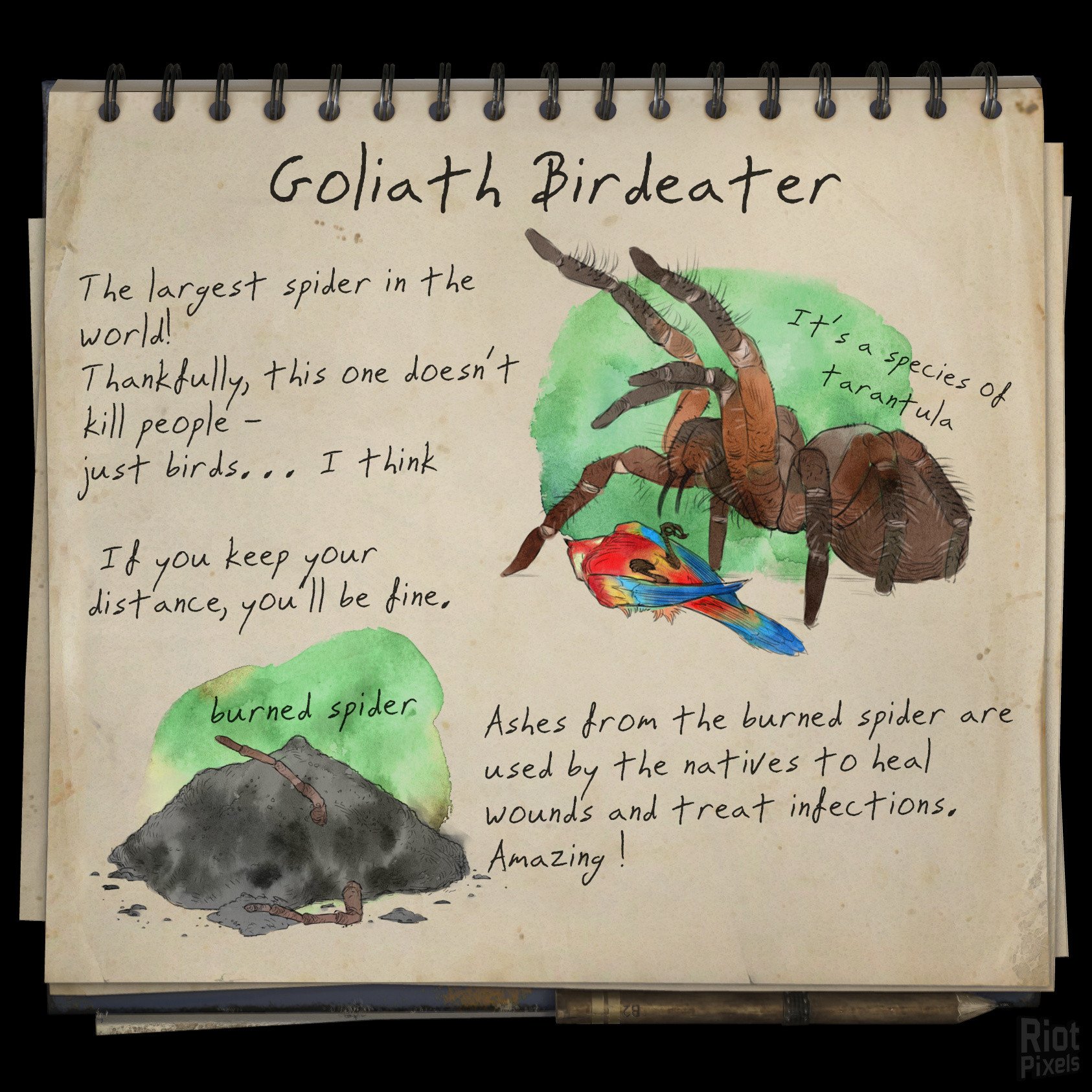 [23]-Green Hell – v2.2.0 build 31580 / v2.2.1 build 31671 Download