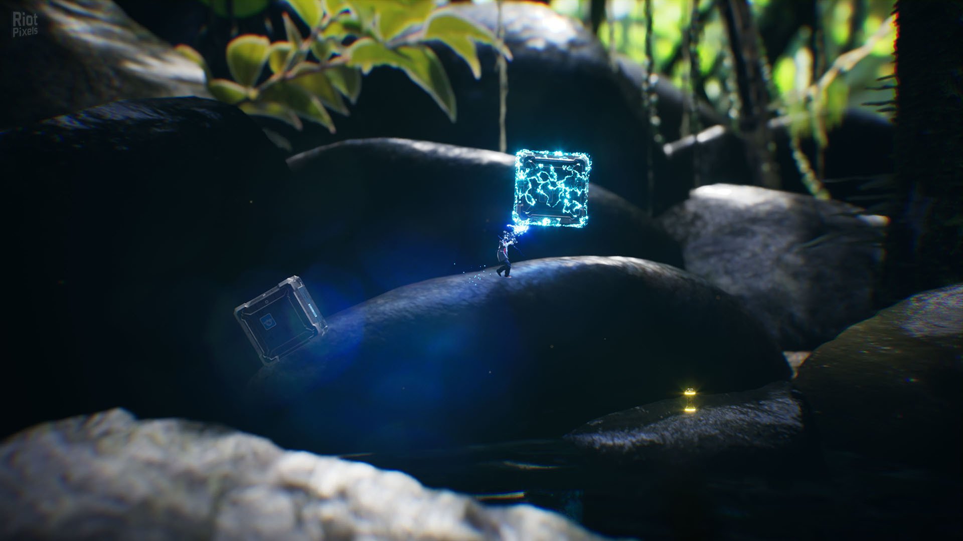 [16]-Big Earth Download