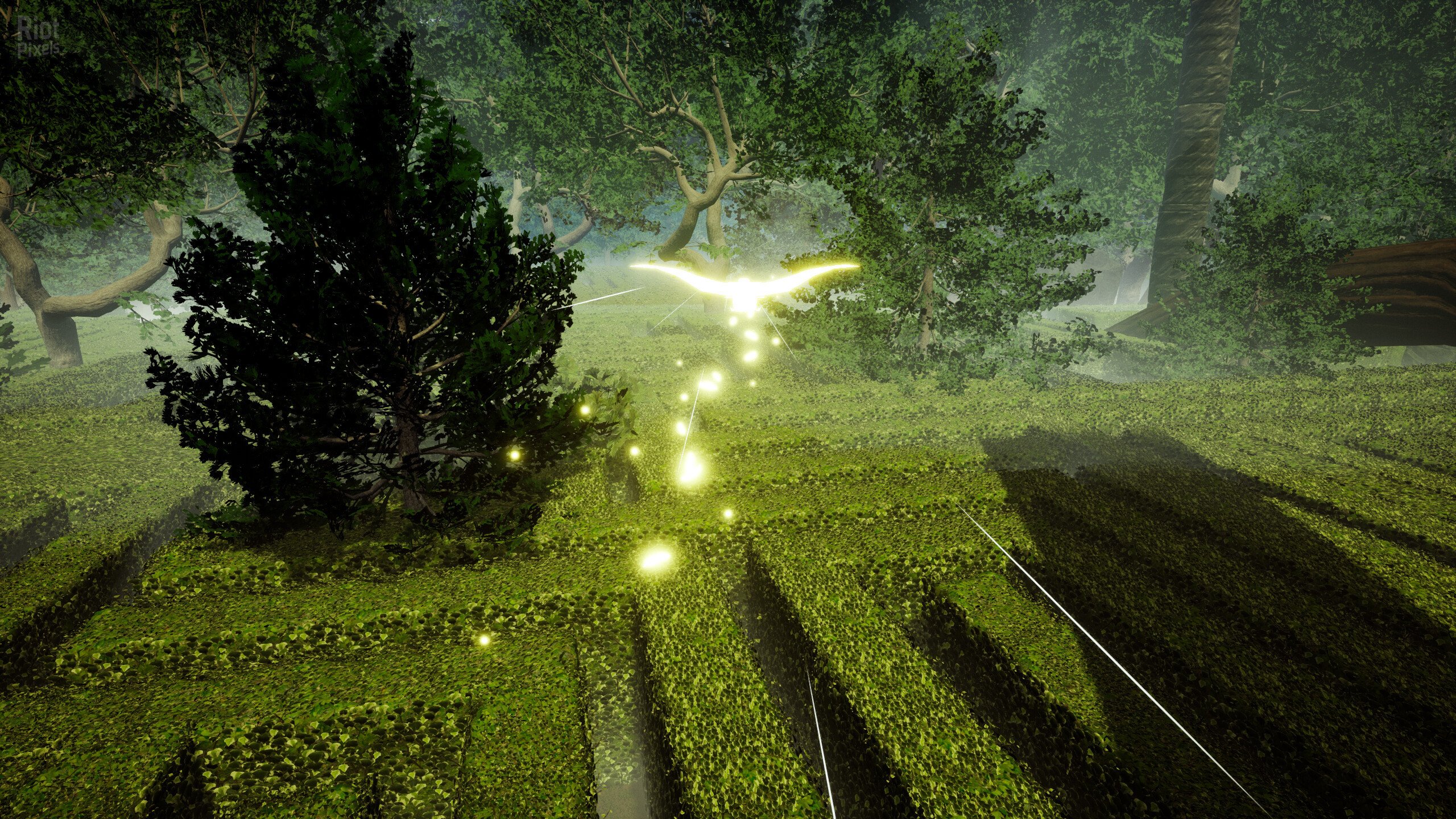 [6]-OVE: The Sword of Liberation Download