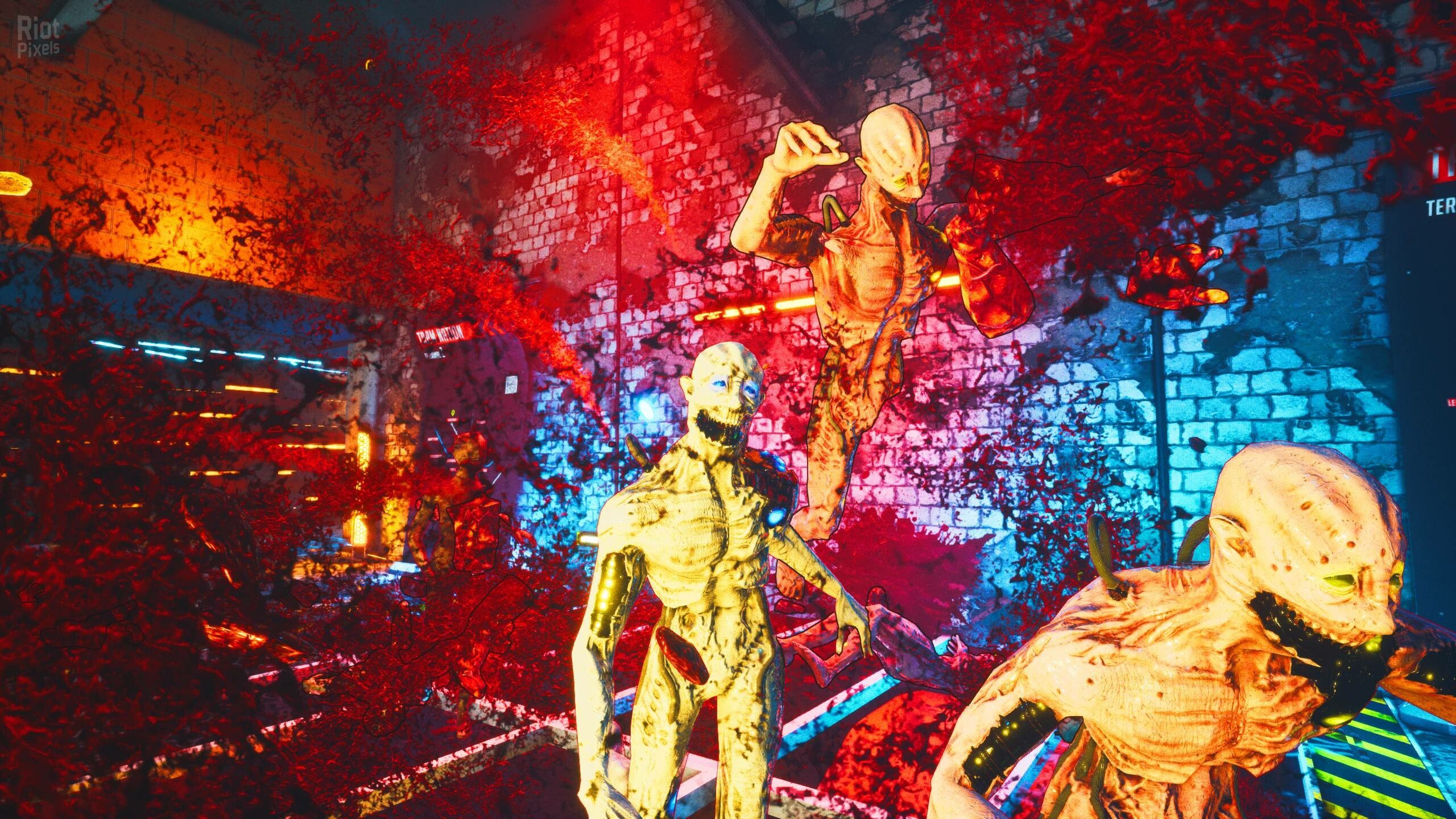 [14]-Zedfest – v1.0 (Release) Download