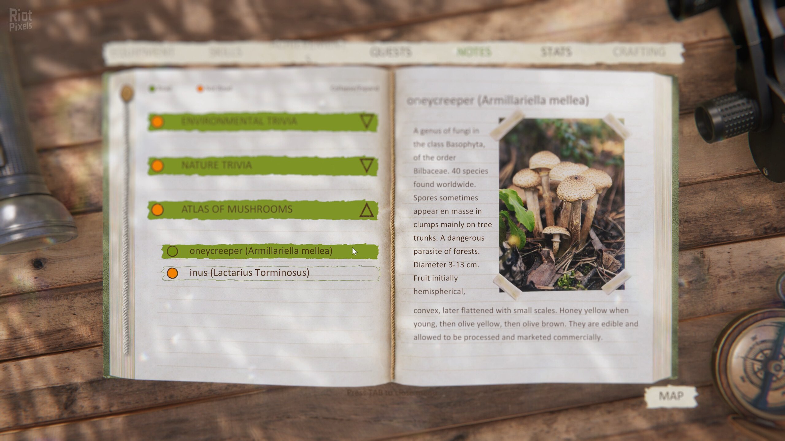 [13]-Forest Ranger Simulator Download