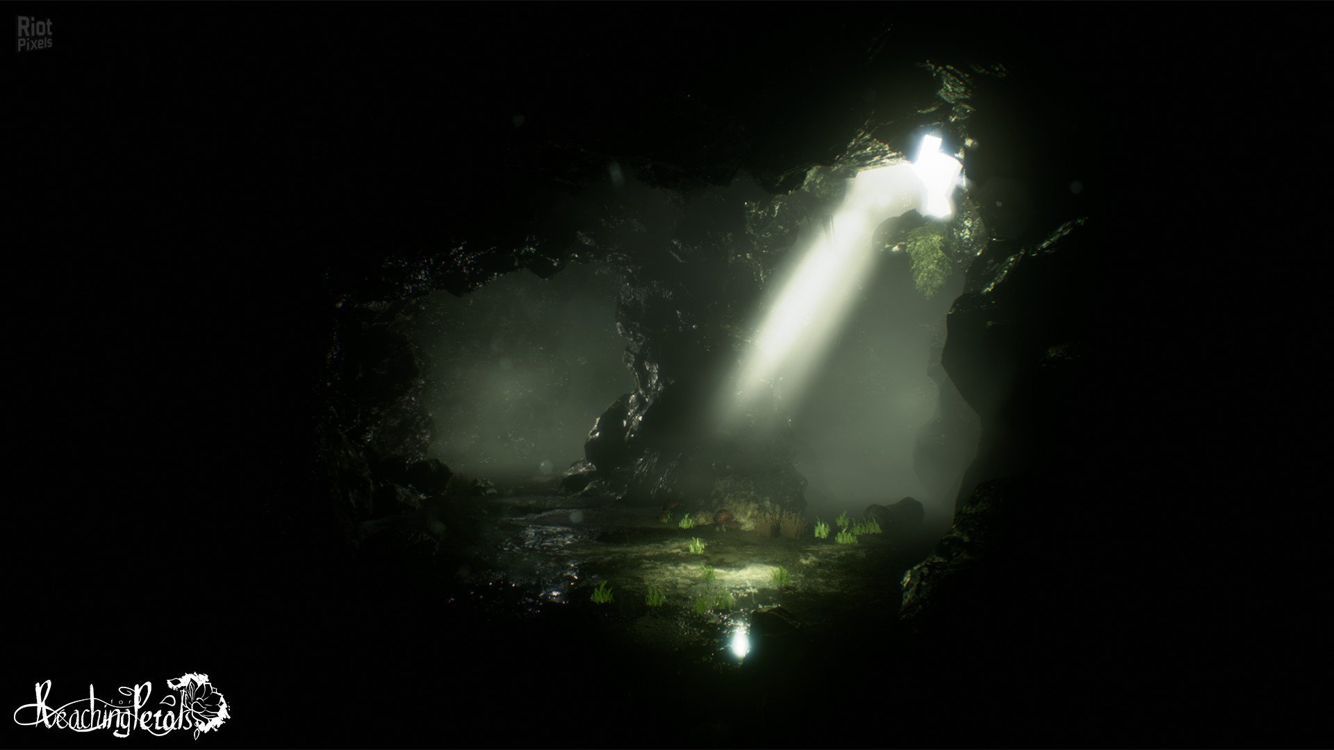 [7]-Reaching for Petals Download