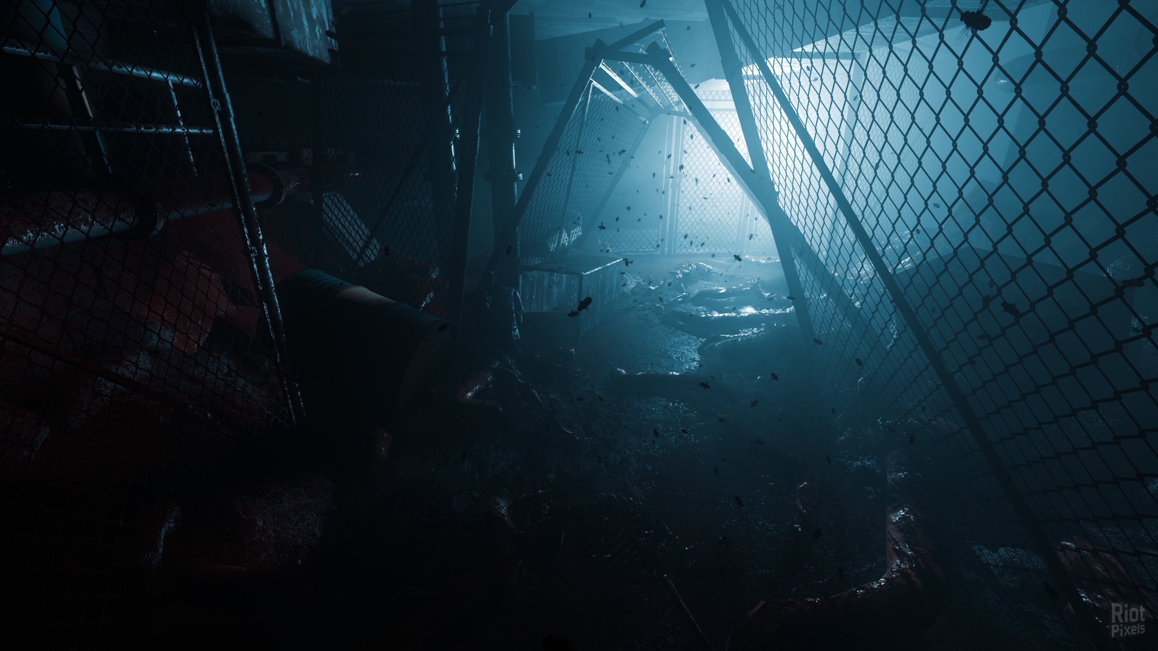 [12]-ColdSide + Update 5 Download