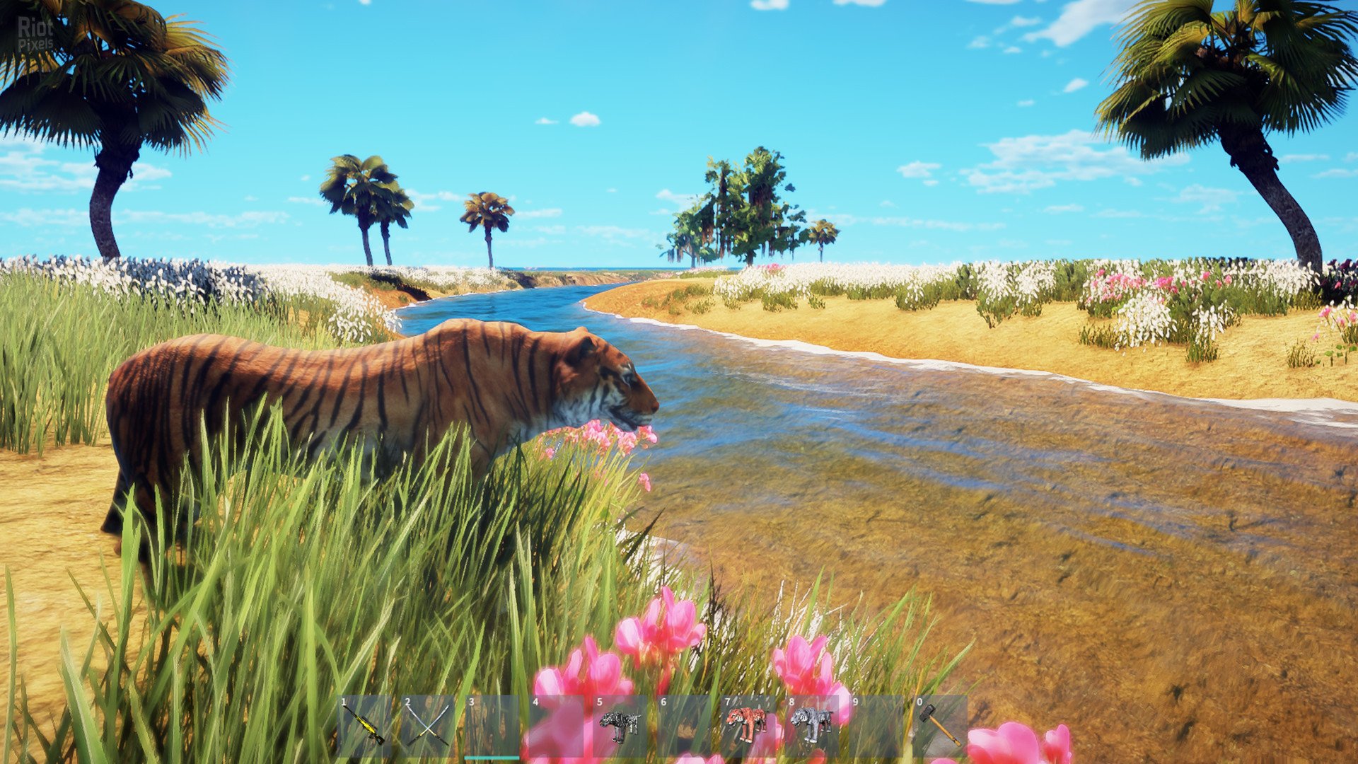 [12]-Animallica Download