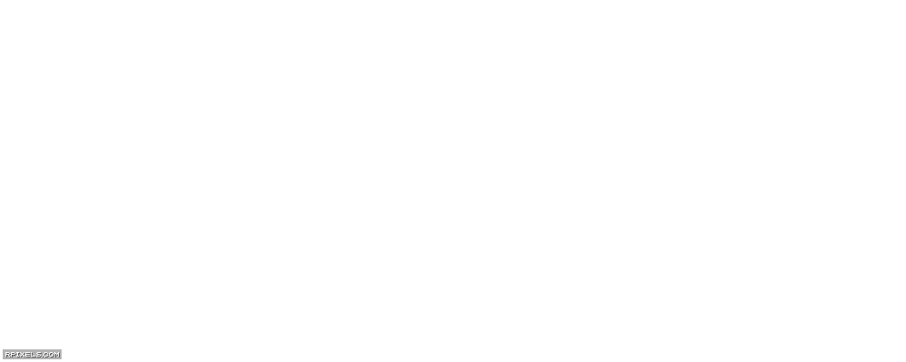 [25]-Remnant: From the Ashes – v248020 + 10 DLCs Download