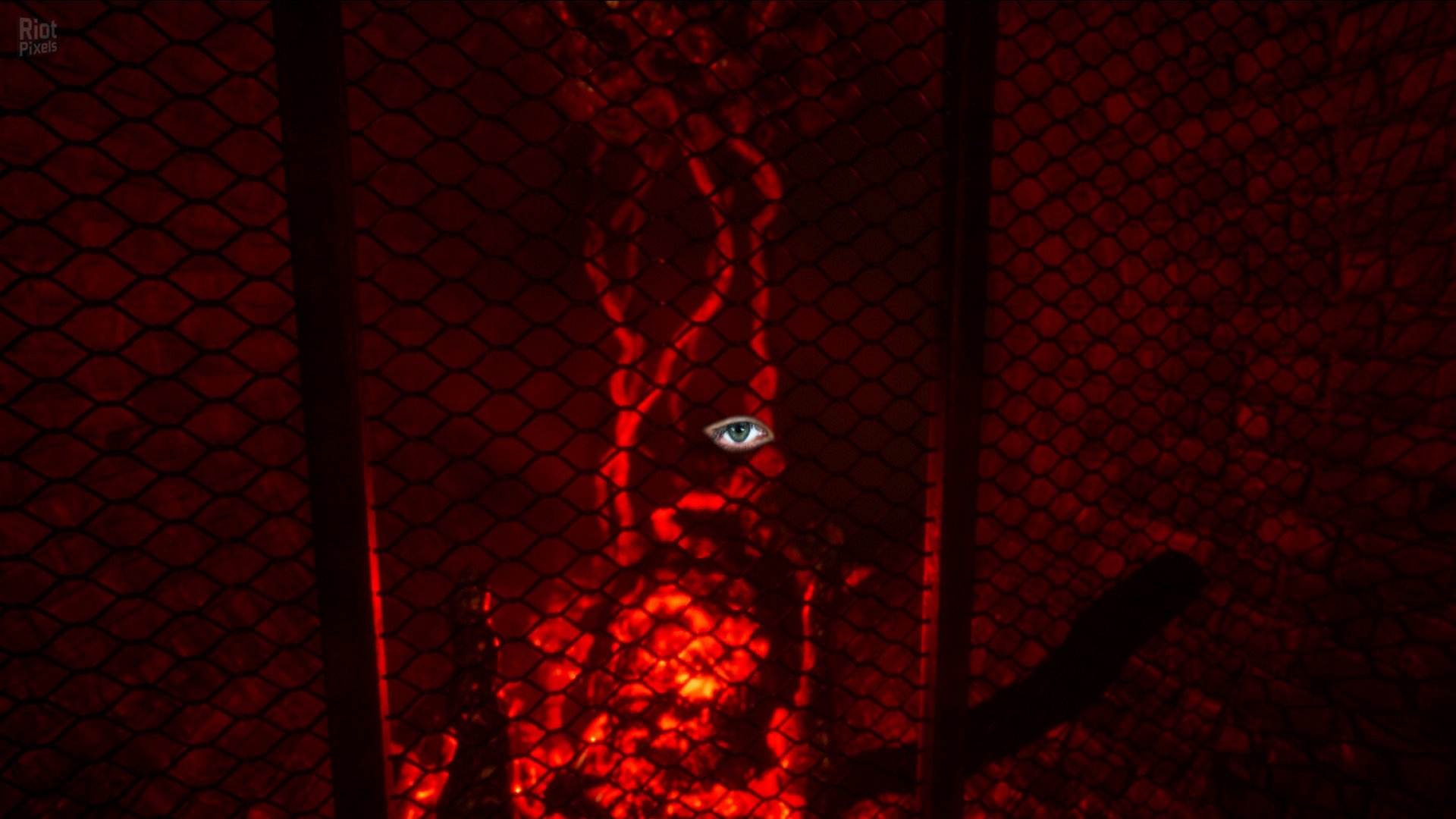 [11]-Nebraska Download