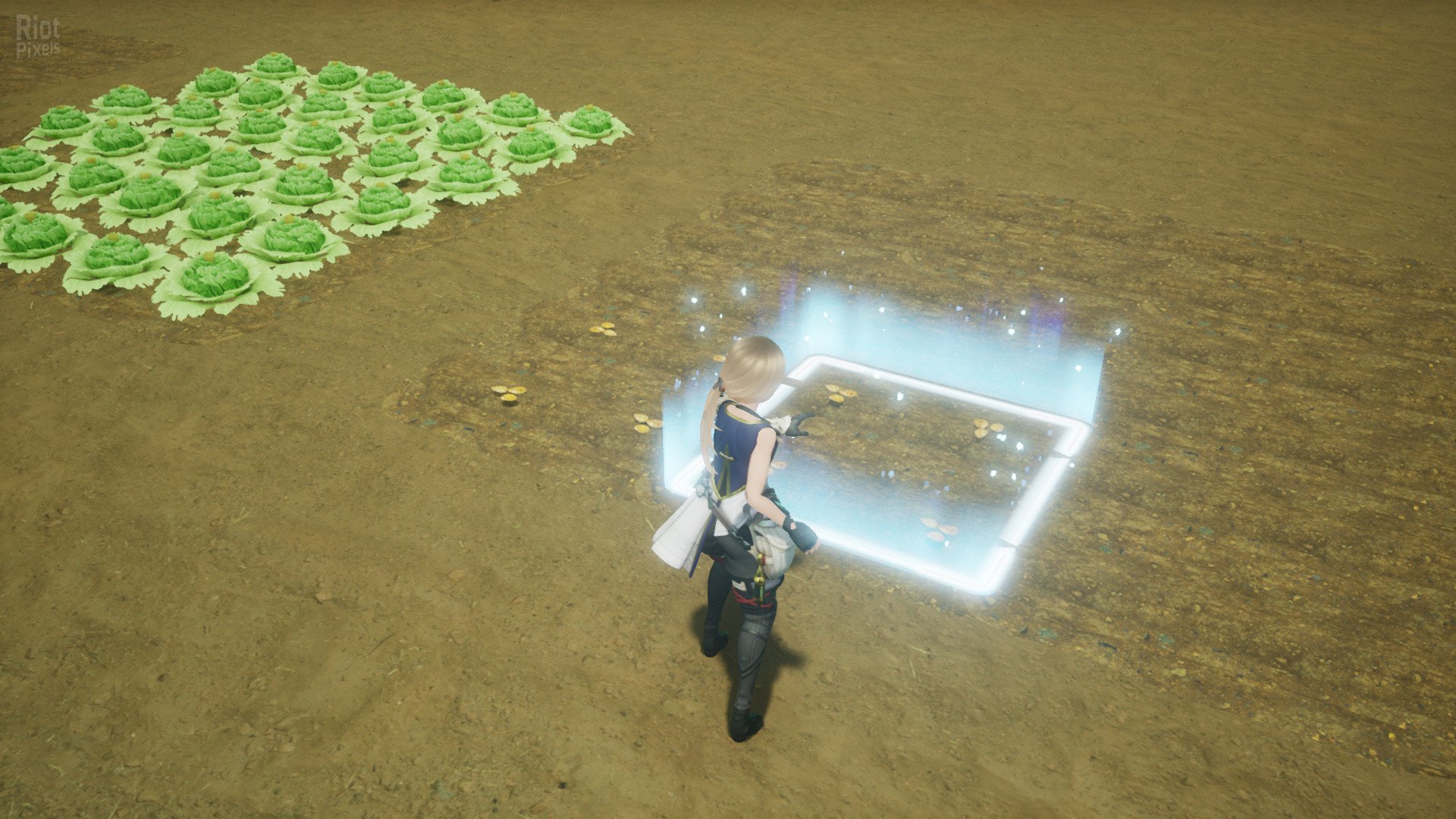 [15]-HARVESTELLA Download