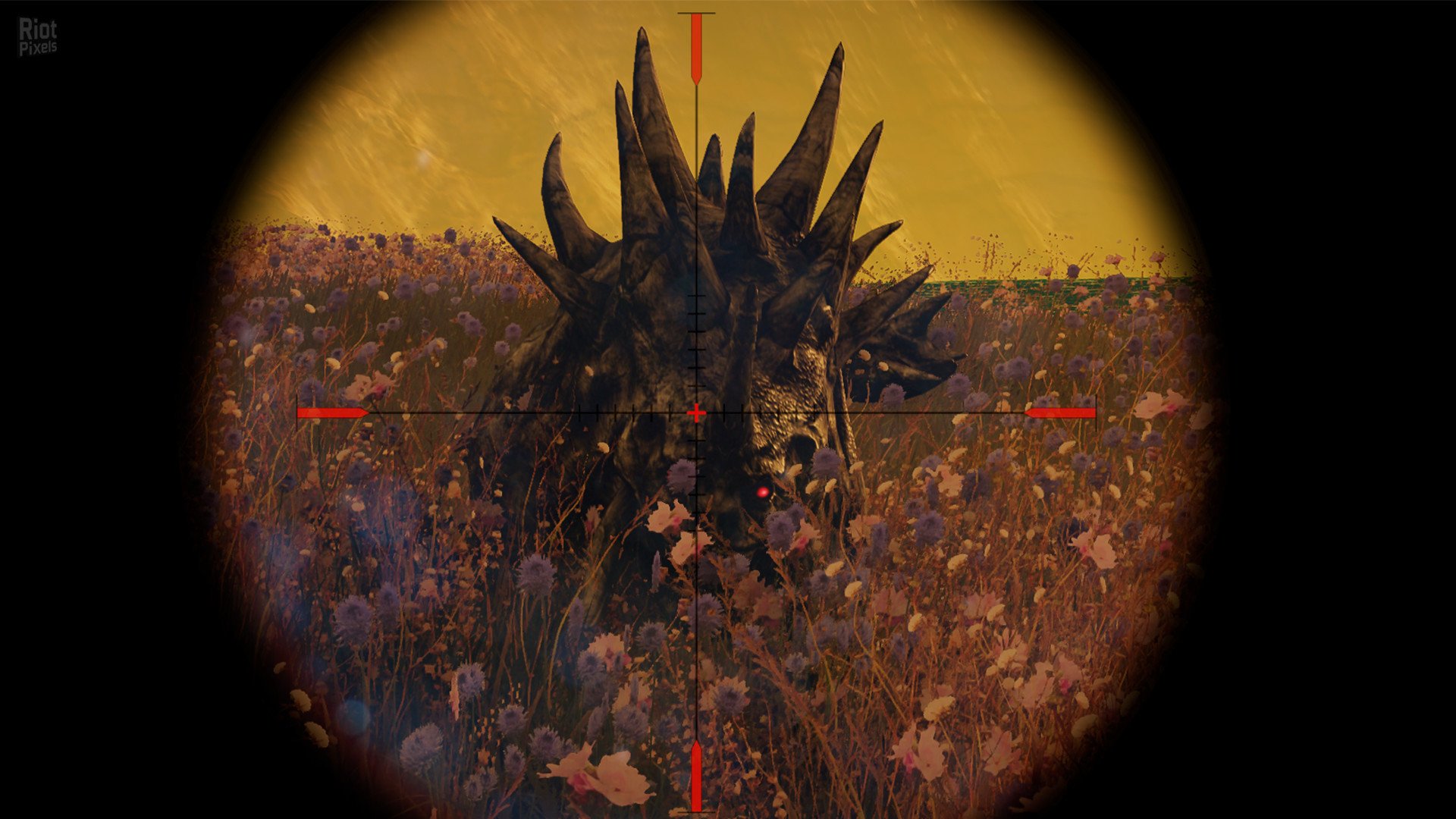 [11]-Animallica Download