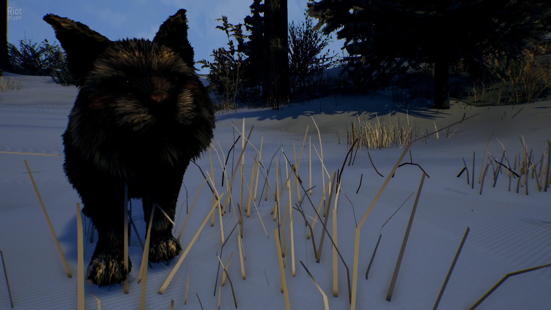 Open Country – v1.0.0.2636-HohohoGames