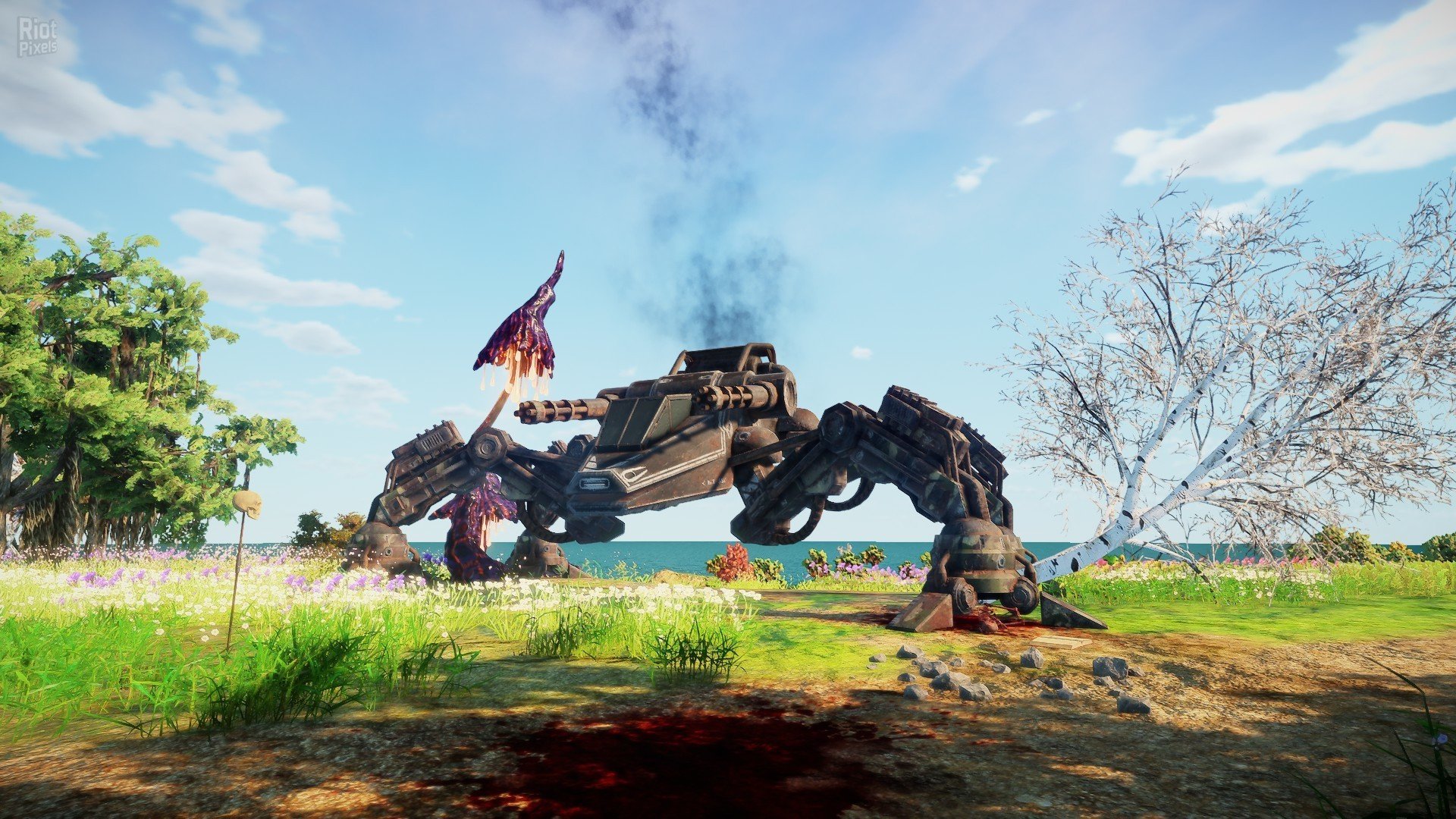 [8]-Animallica Download