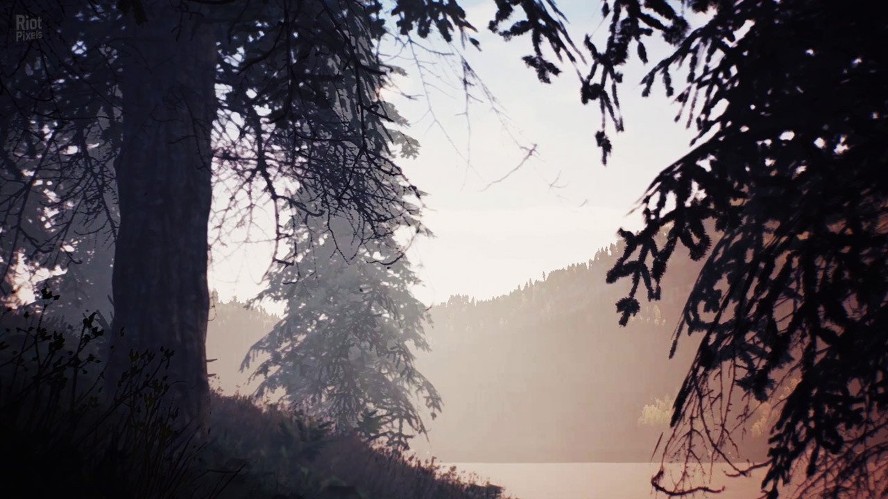 [12]-Only After Download