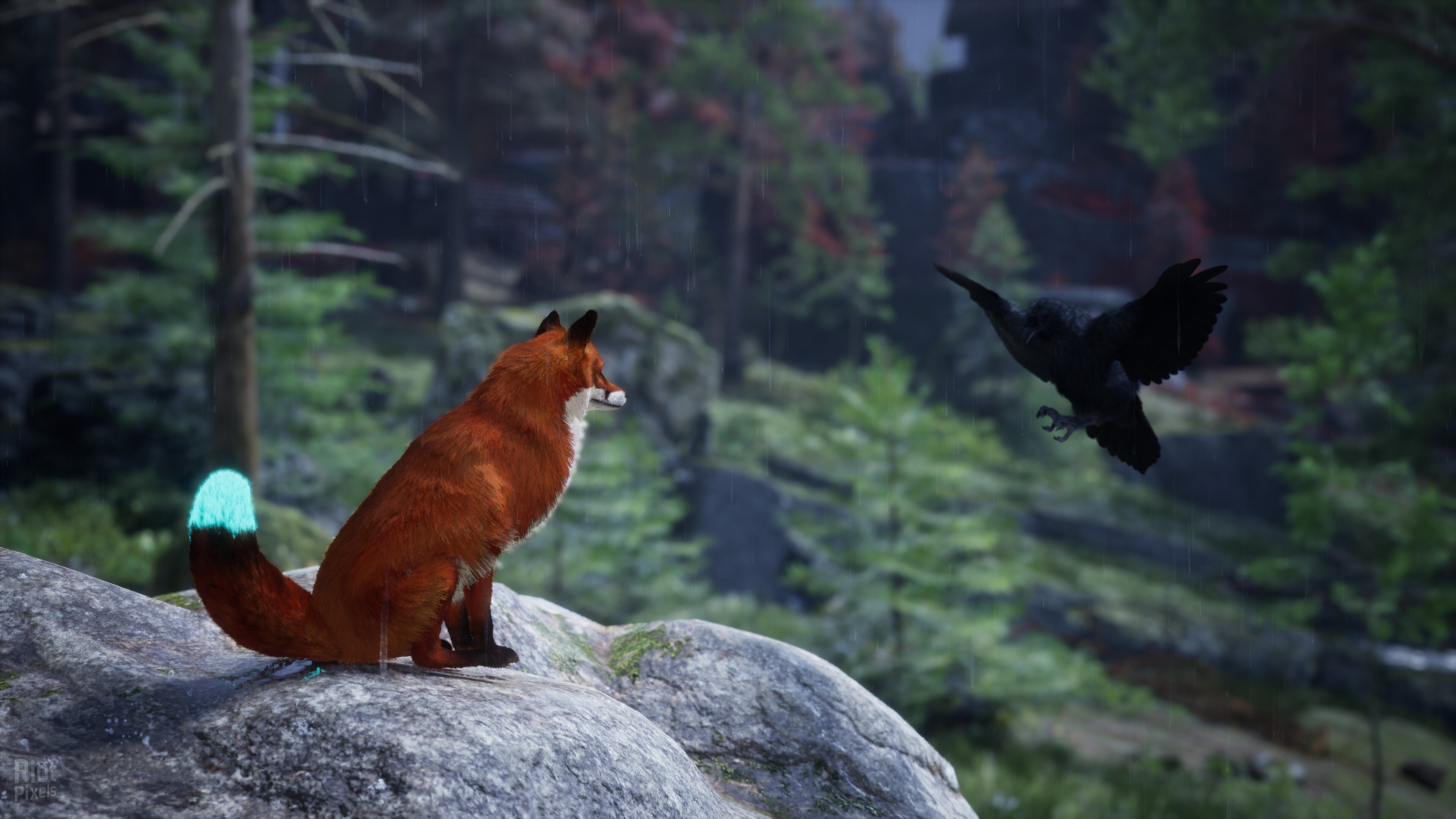 [7]-Spirit of the North 2 Download