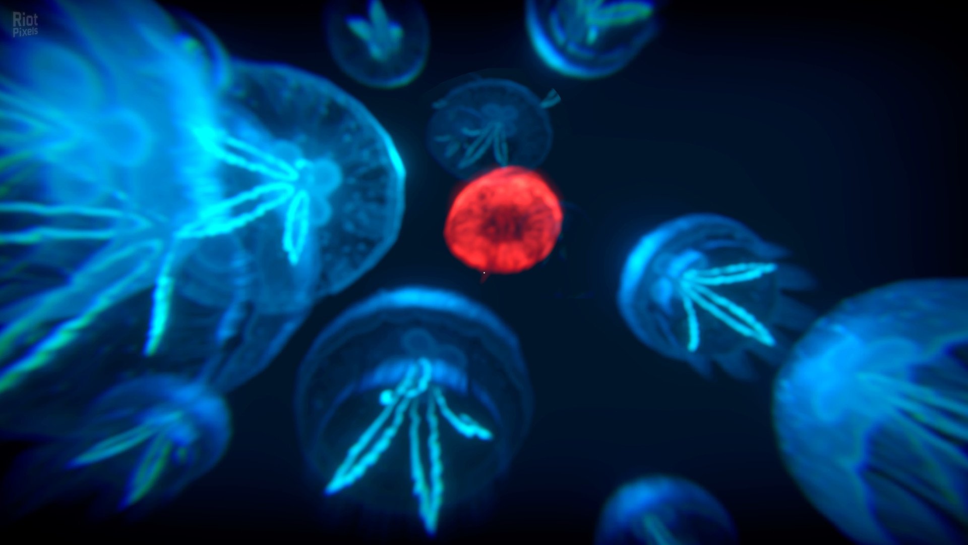 [4]-ZAAM – v1.03 Download