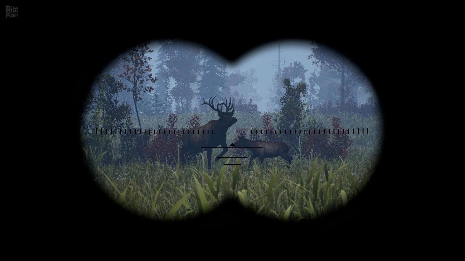 [7]-Open Country – v1.0.0.2636 Download