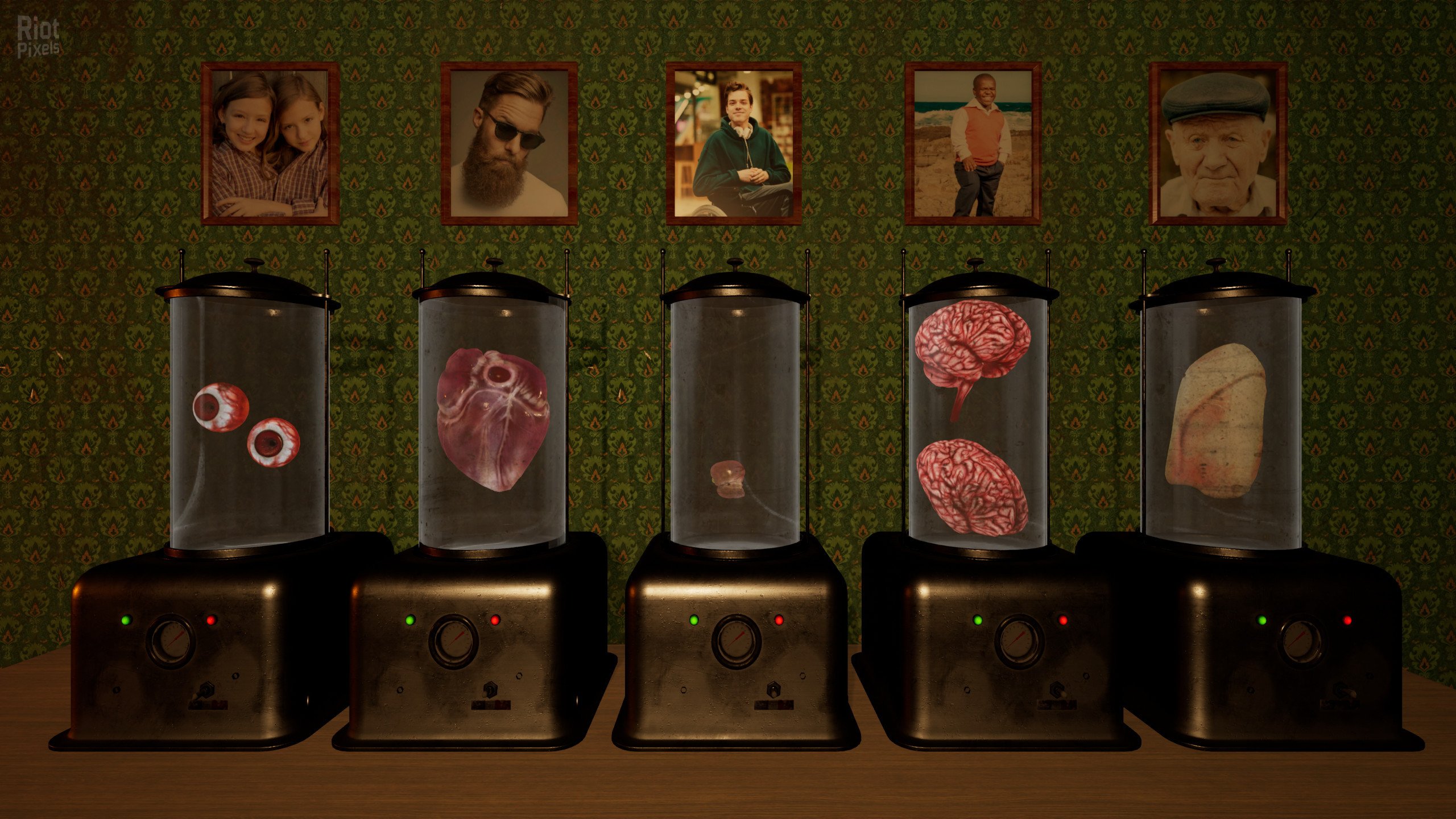 [11]-Move 78 Download