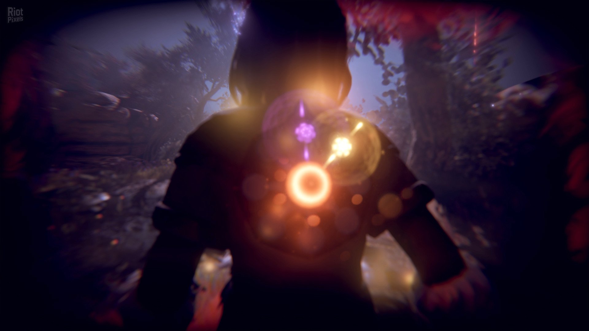 [10]-Seed of Life Download