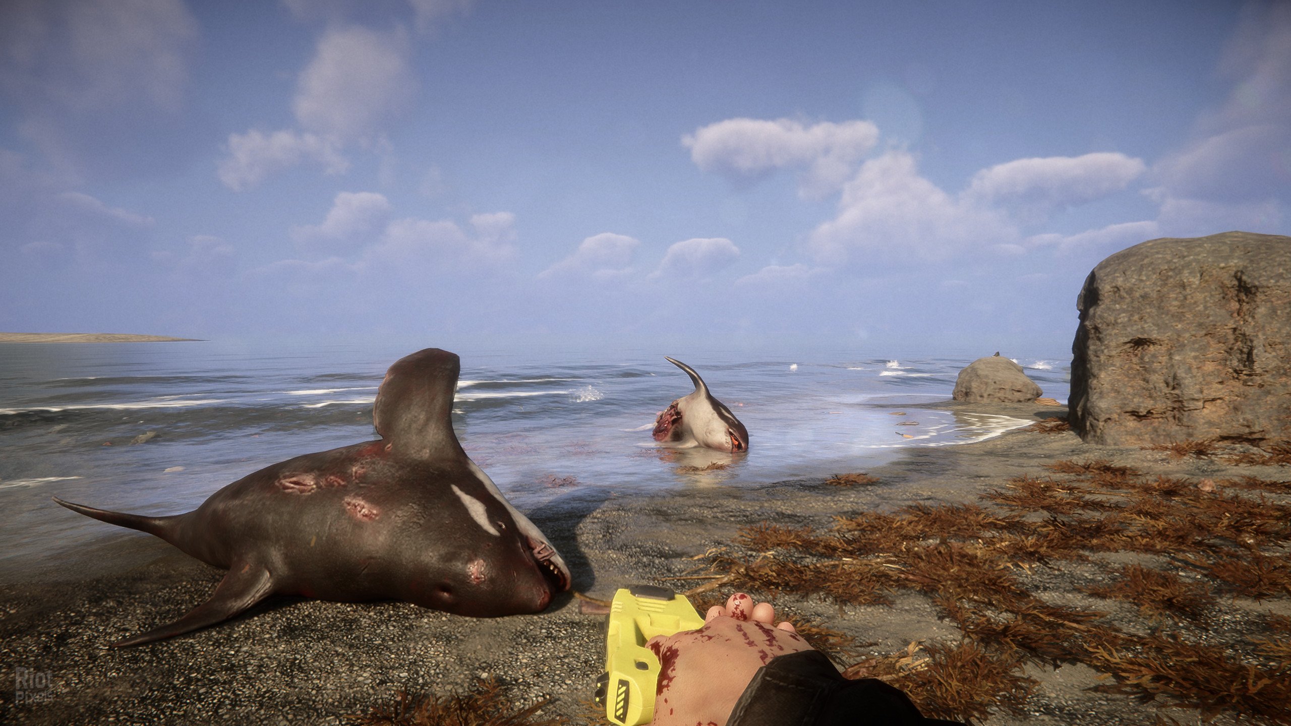 [6]-Sons of the Forest – v48738 + Multiplayer Download