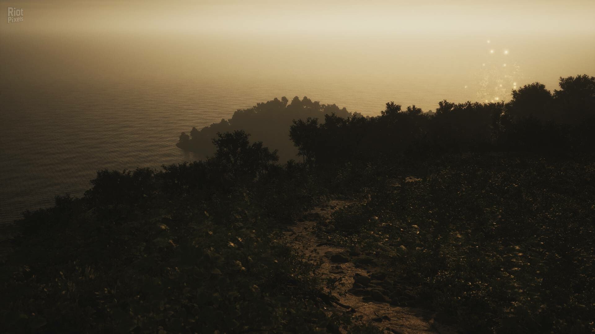 [10]-Lushfoil Photography Sim Download