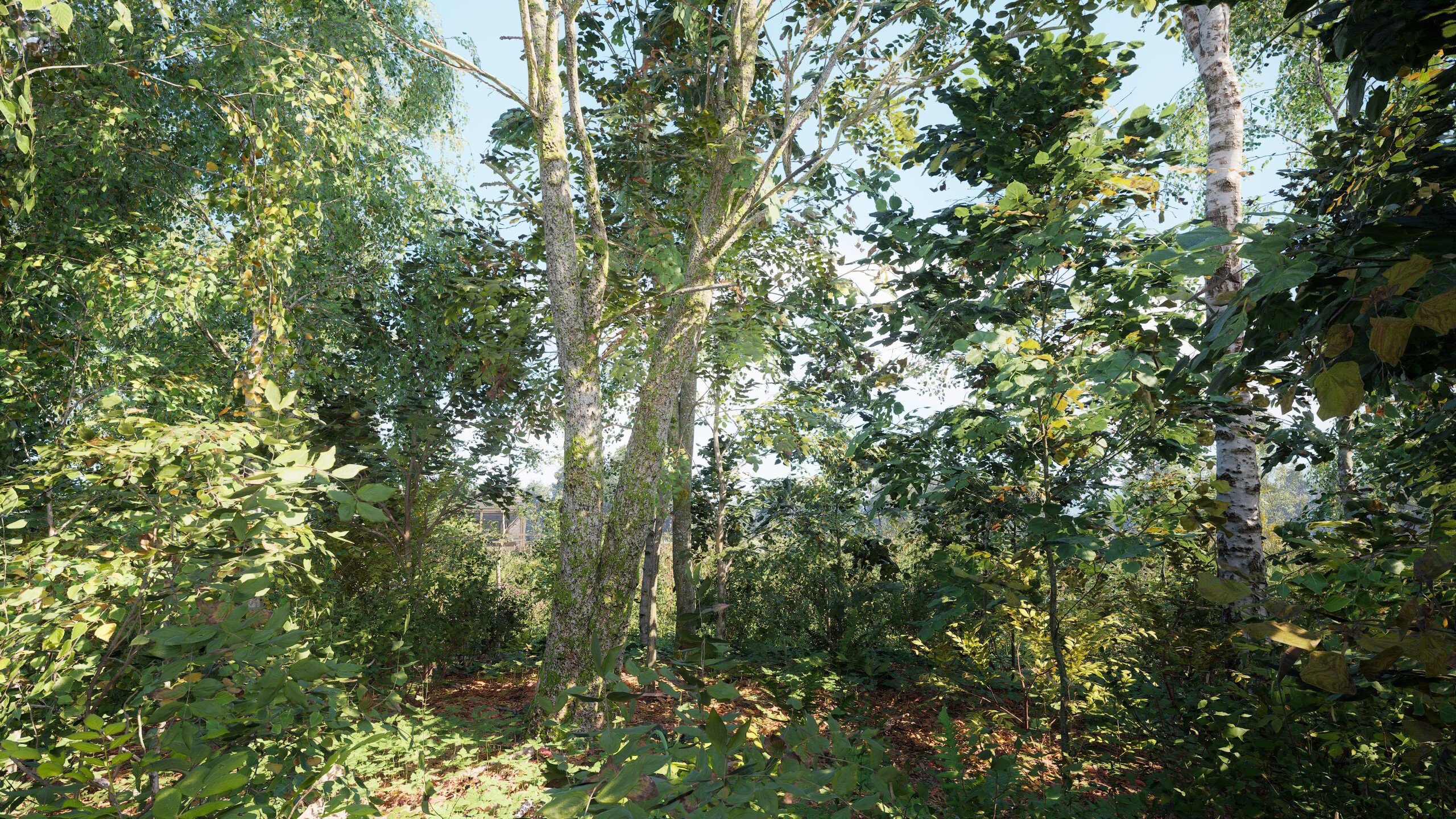 [3]-Russian Soul Simulator Download