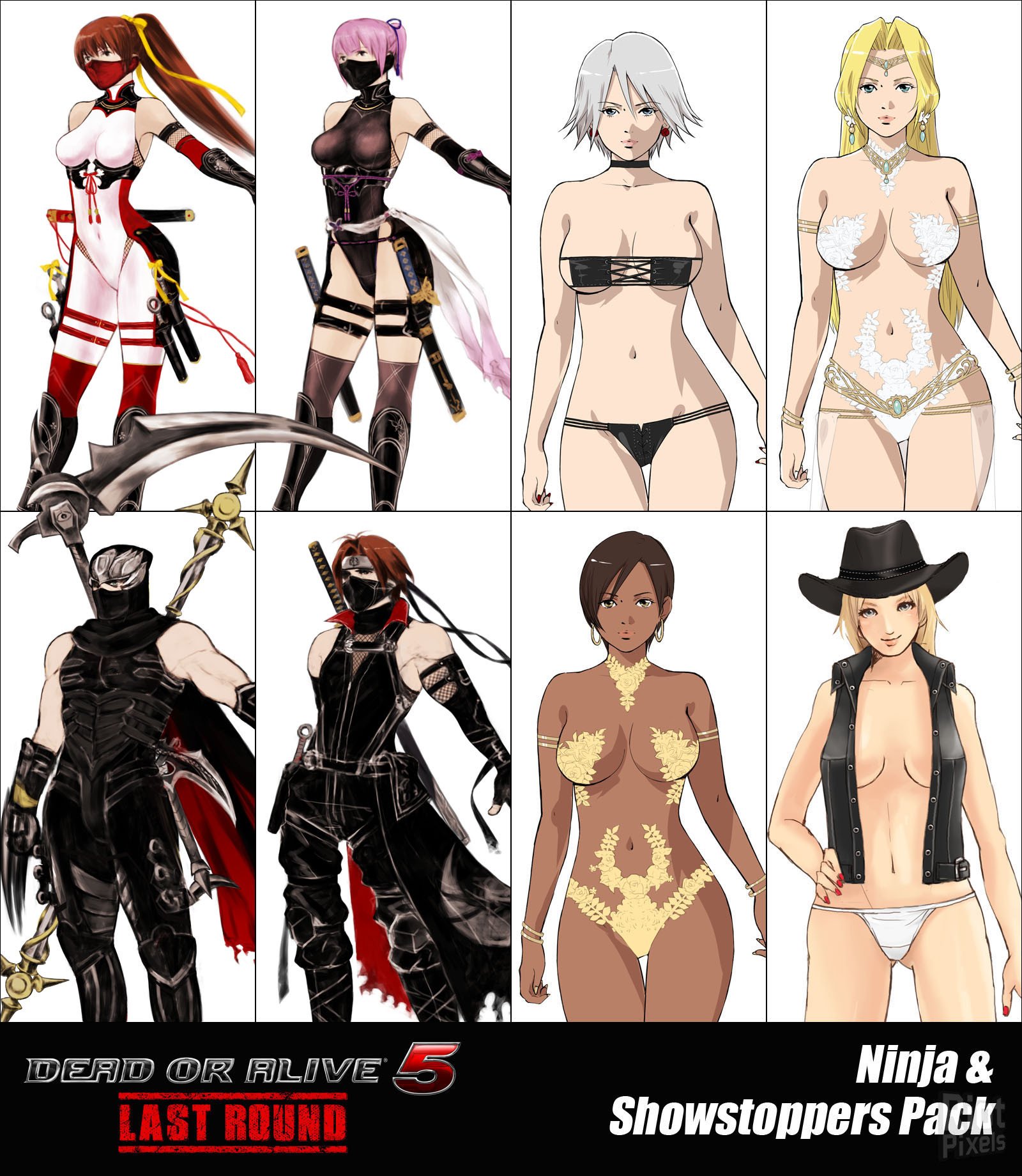 [23]-Dead or Alive 5: Last Round – v1.10C + All DLCs + Unlocker Download