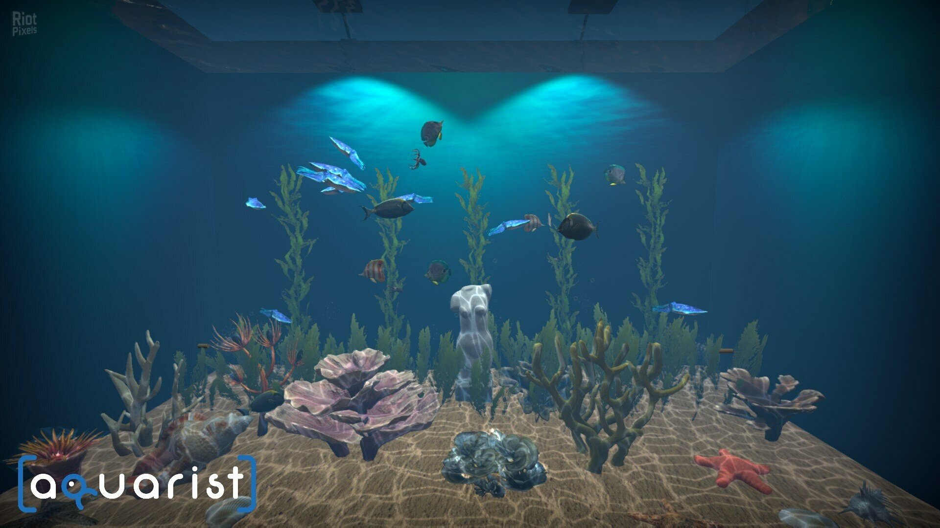 [4]-Aquarist: Full Experience Bundle – Build 18222695 + 3 DLCs Download