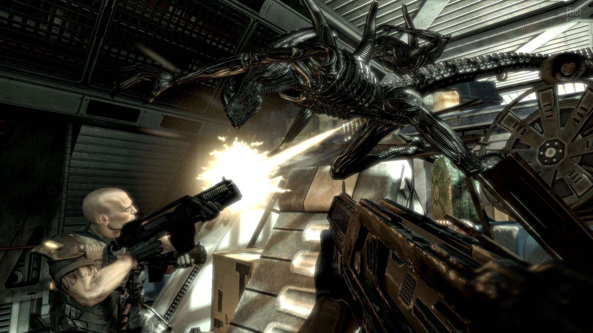 [13]-Aliens vs. Predator + 2 DLC Download