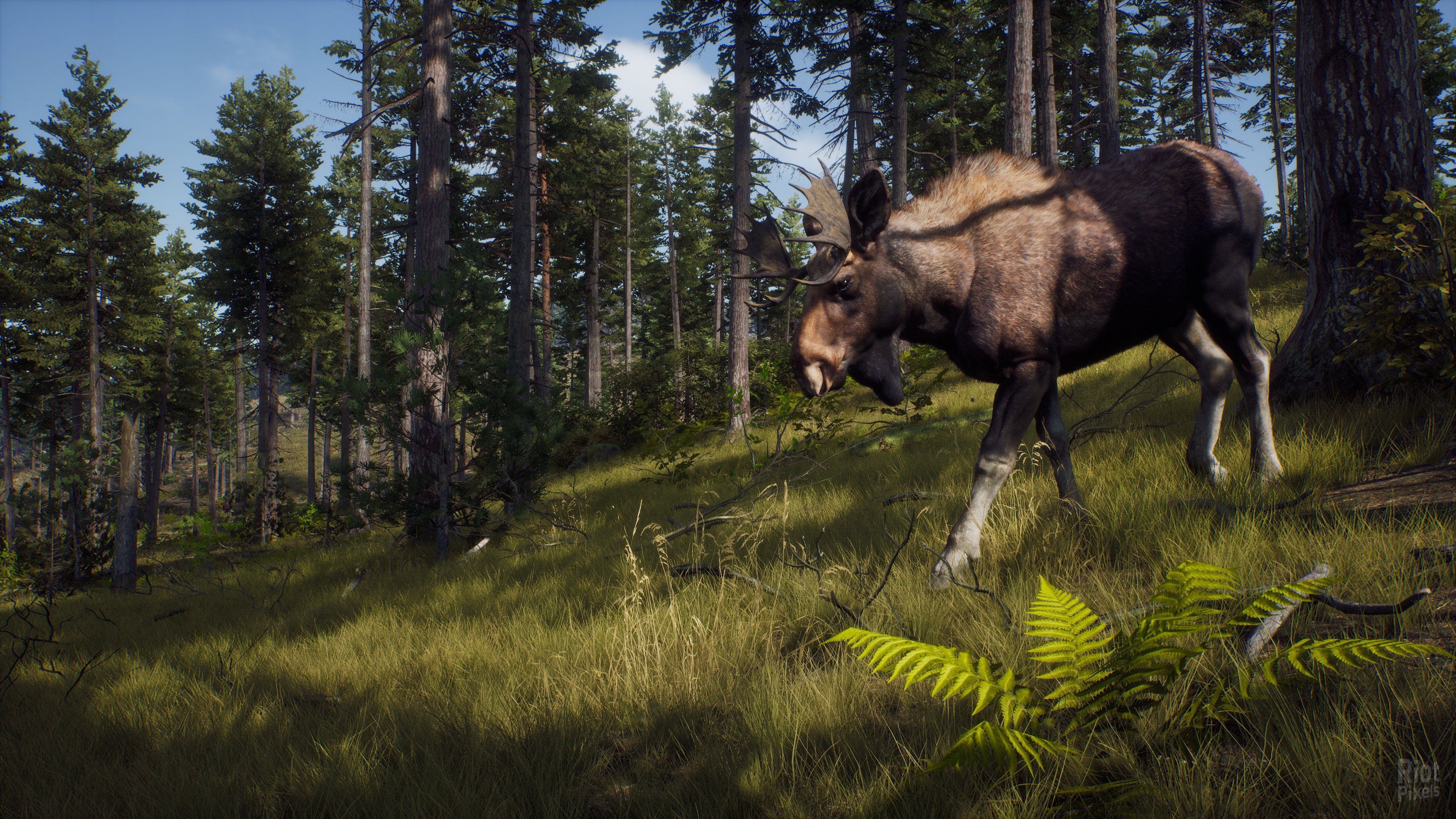 [5]-Way of the Hunter: Ultimate Edition – v1.27 + 15 DLCs/Bonuses + Windows 7 Fix Download