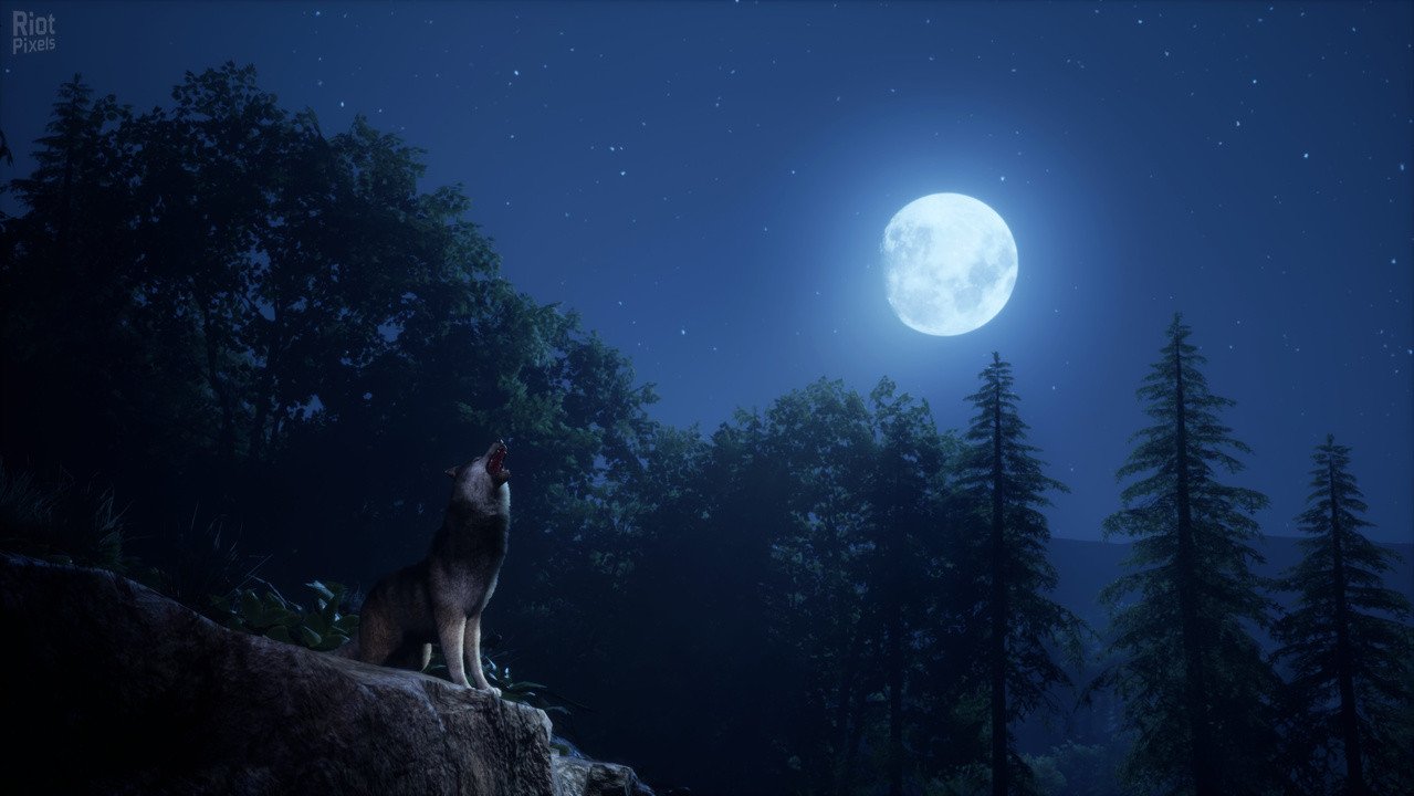 [14]-Medieval Dynasty: Ultimate Edition – v2.4.0.3 + 5 DLCs/Bonuses Download