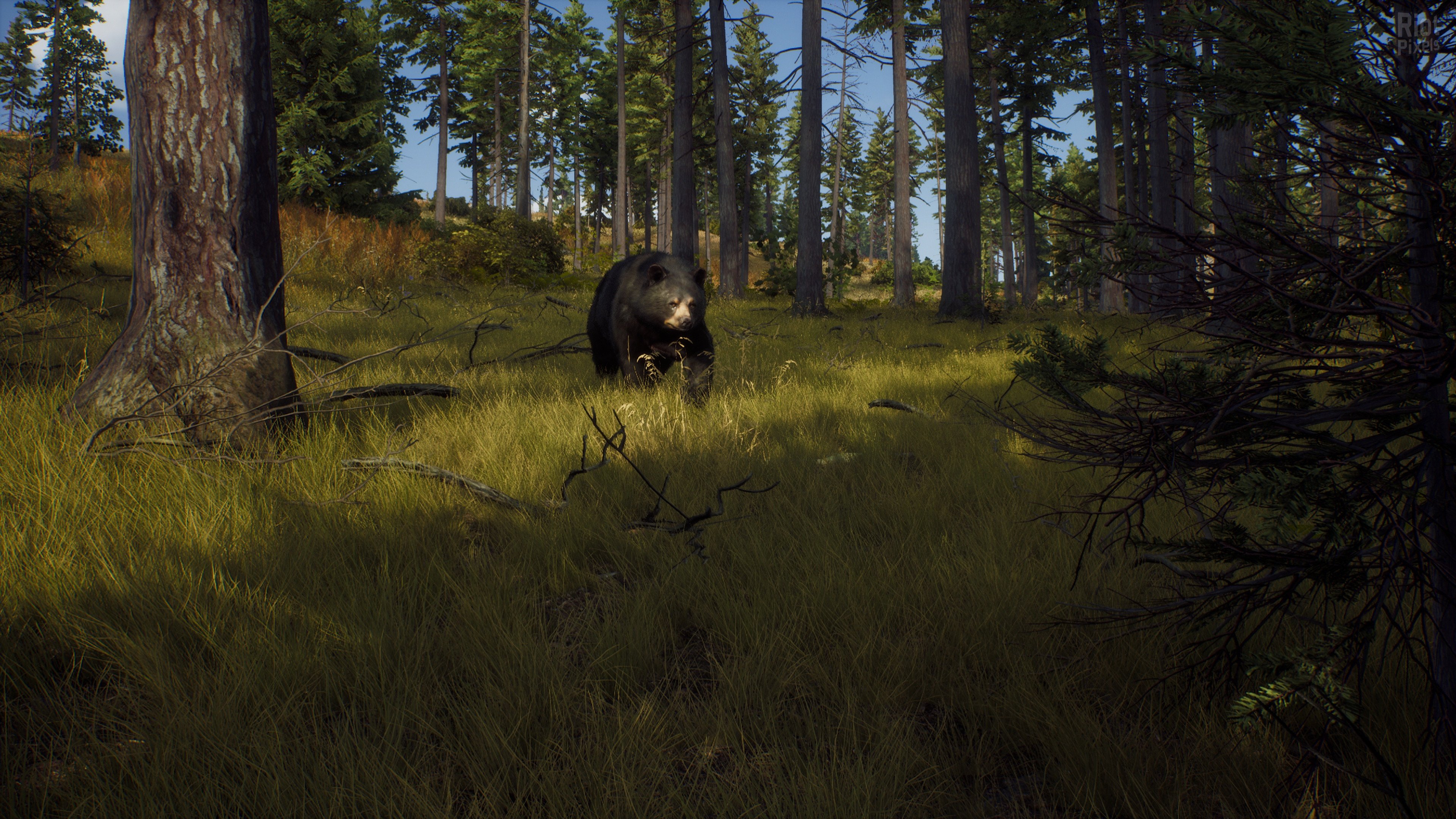 [7]-Way of the Hunter: Ultimate Edition – v1.27 + 15 DLCs/Bonuses + Windows 7 Fix Download