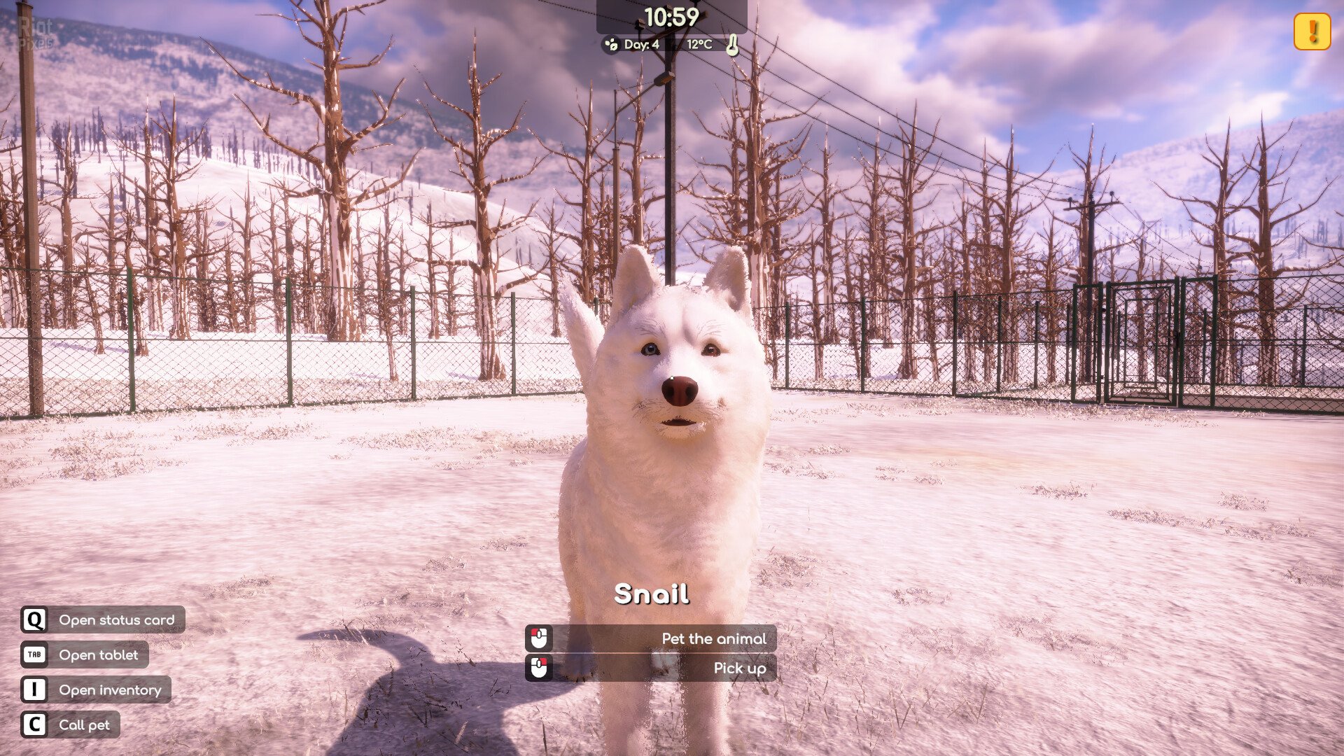 [10]-Animal Shelter 2 Download