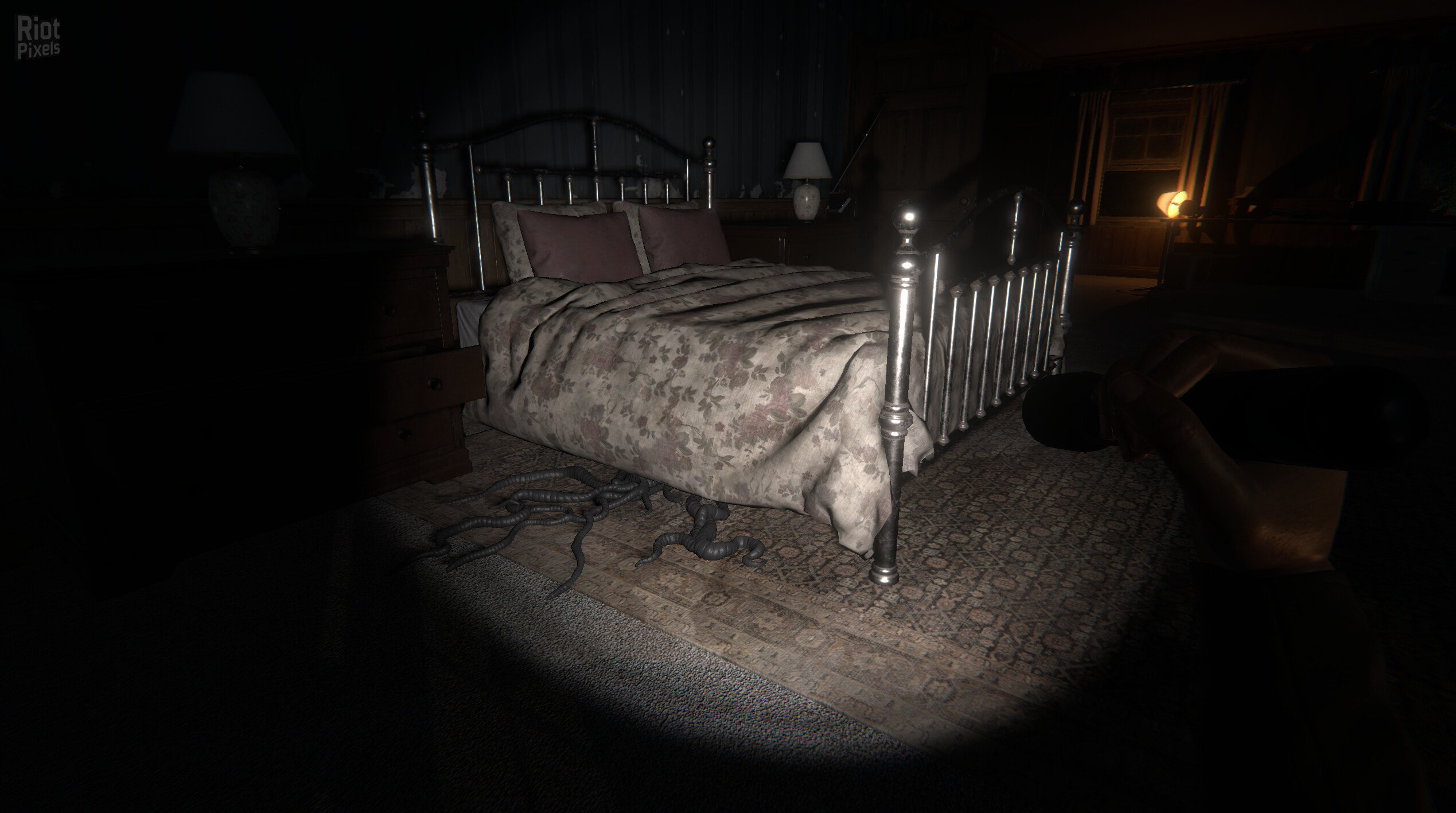 [7]-The Echo Paradox Download