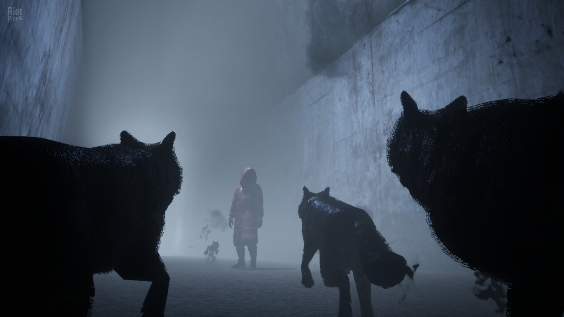 [6]-Veil of the Skies Download