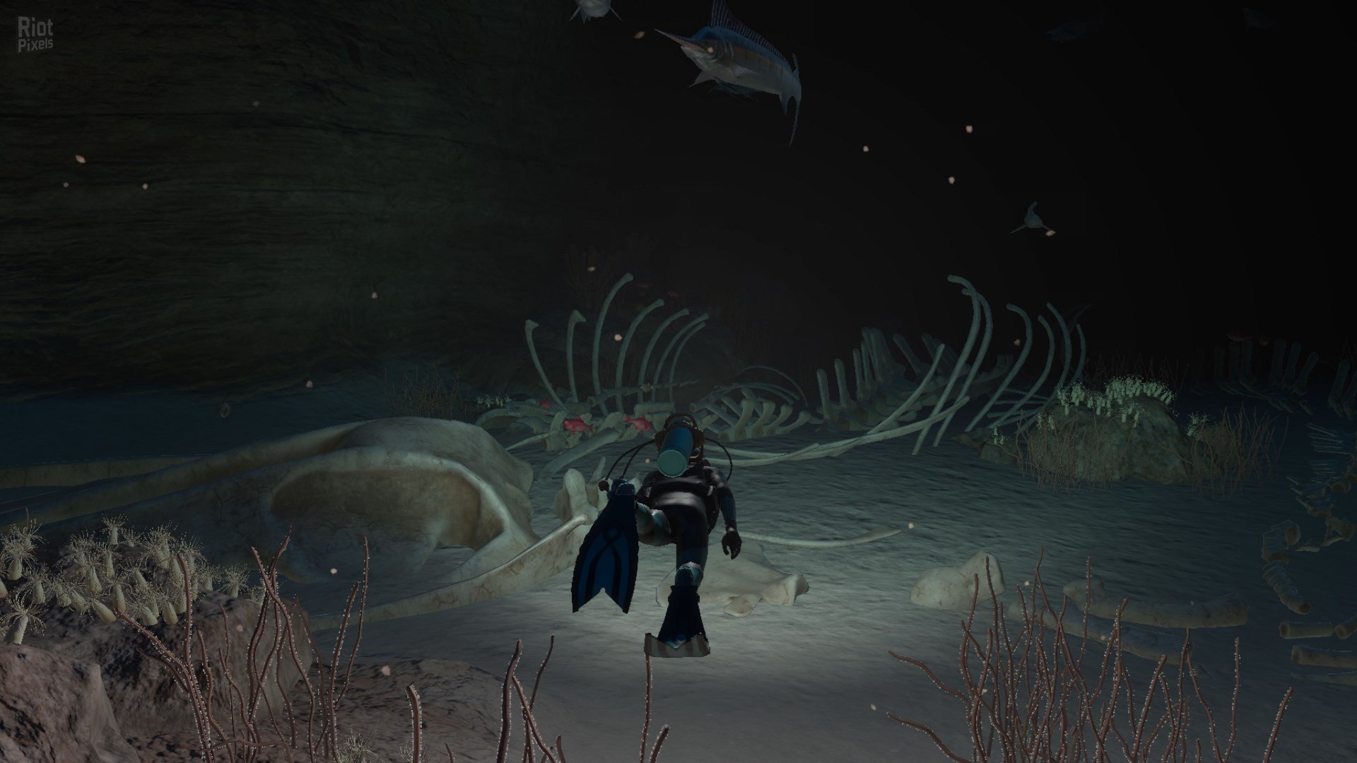 [3]-Endless Ocean Luminous – v1.0.1 + 4 Switch Emulators Download