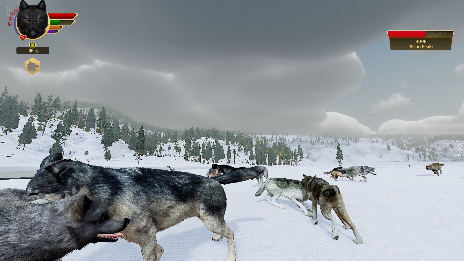 [10]-WolfQuest: Anniversary Edition – v2.0.2 (Release) + 4 DLCs Download