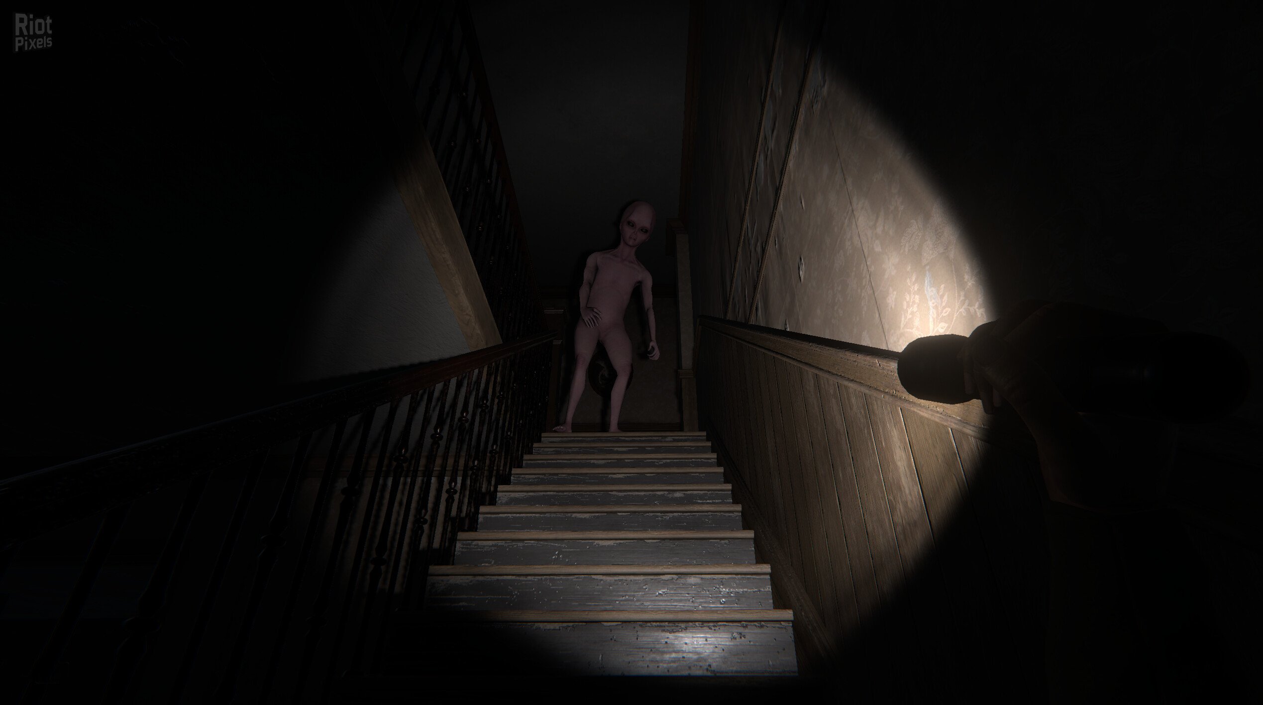 [5]-The Echo Paradox Download